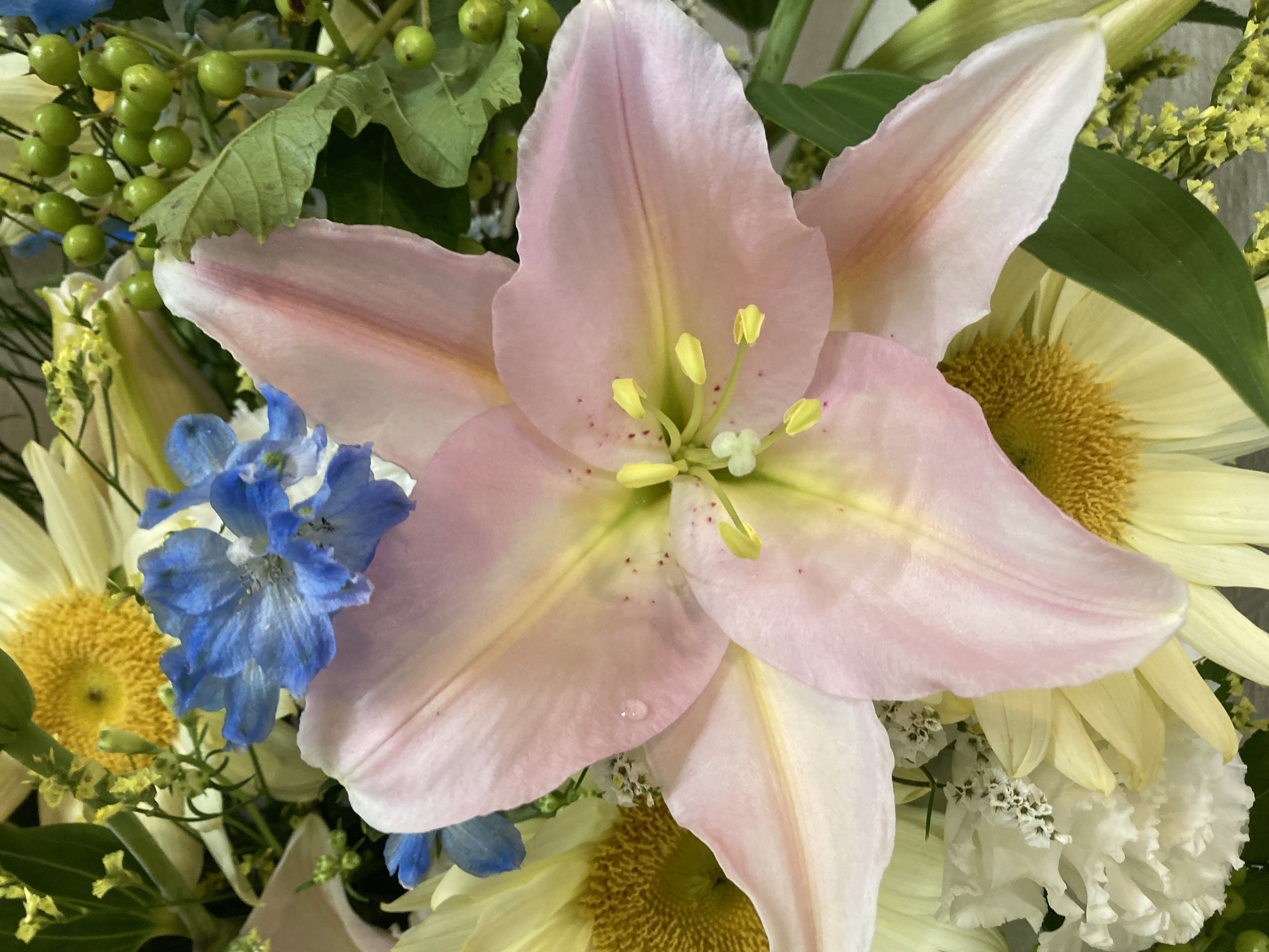 お花