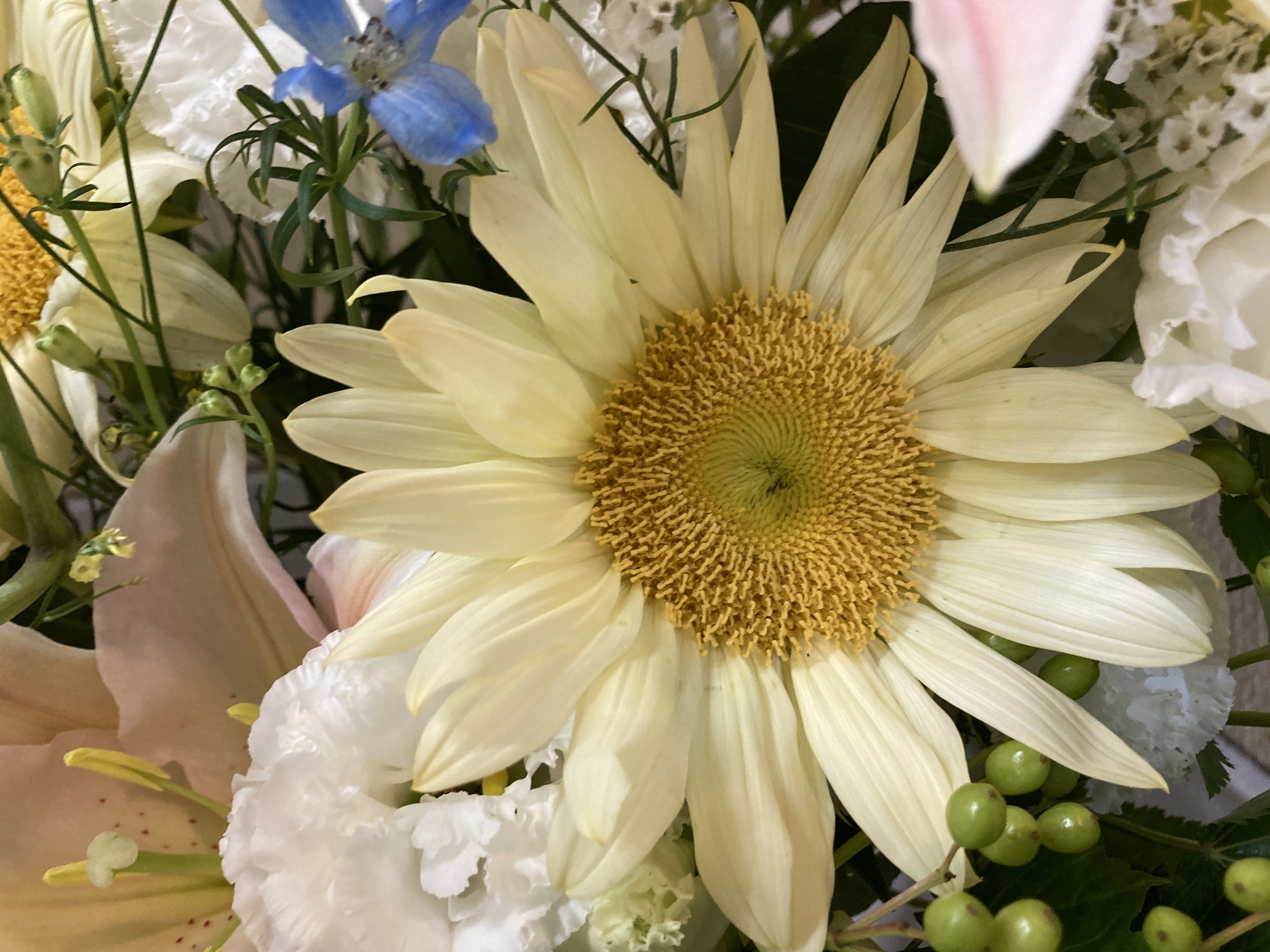 お花