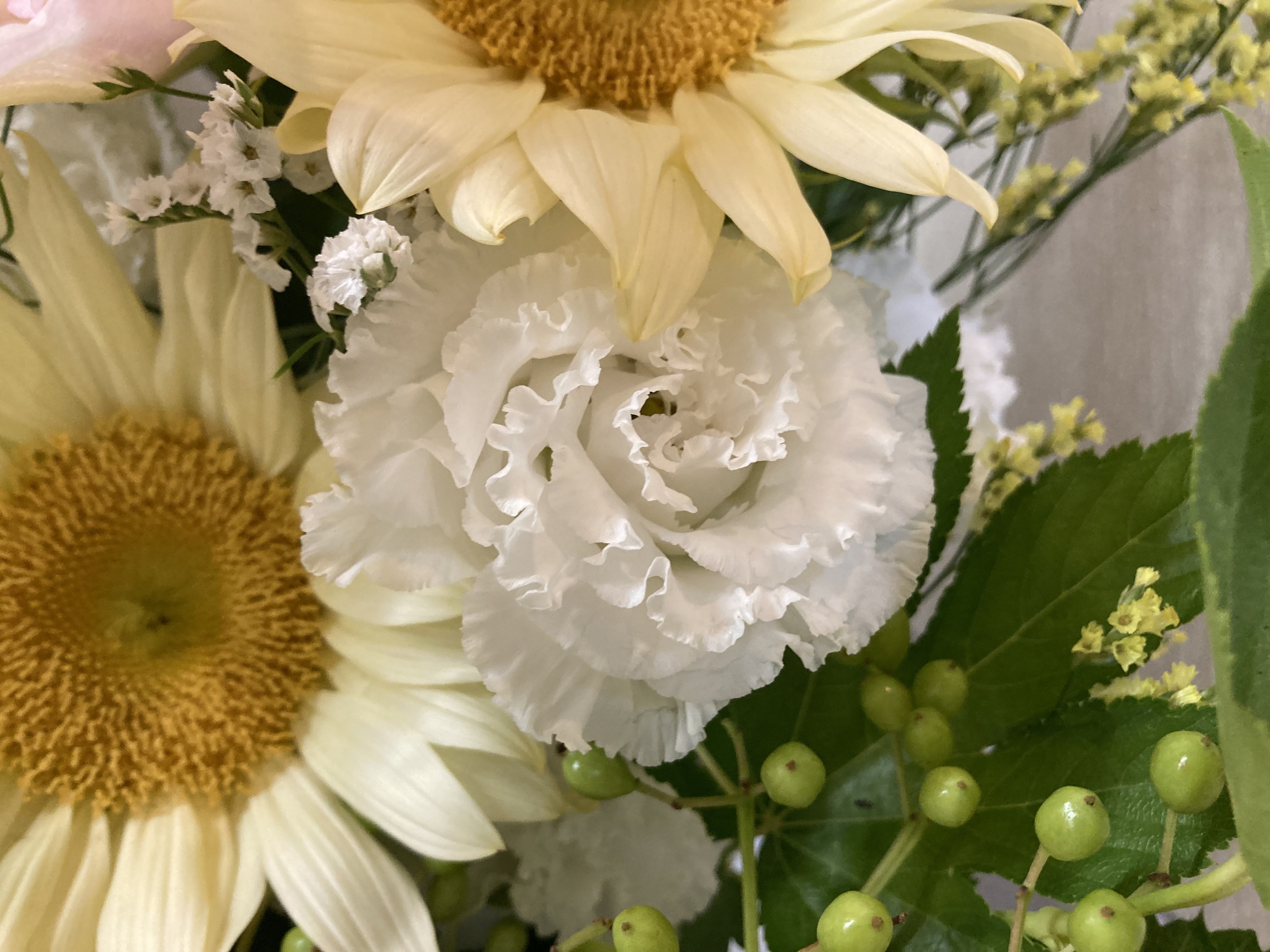 お花