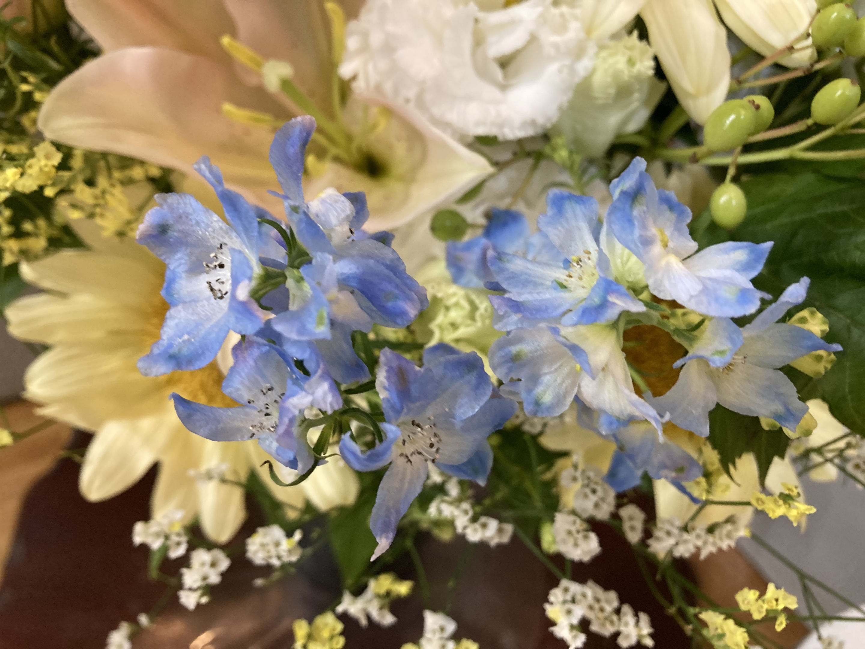 お花