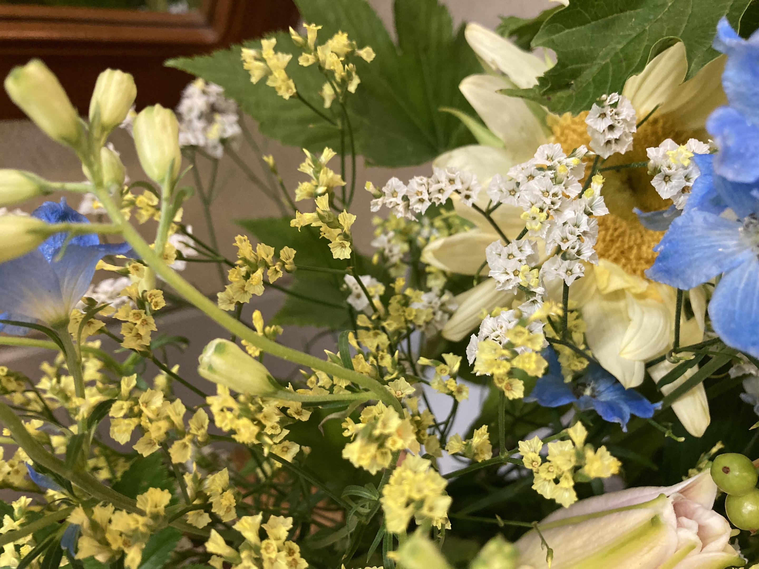 お花