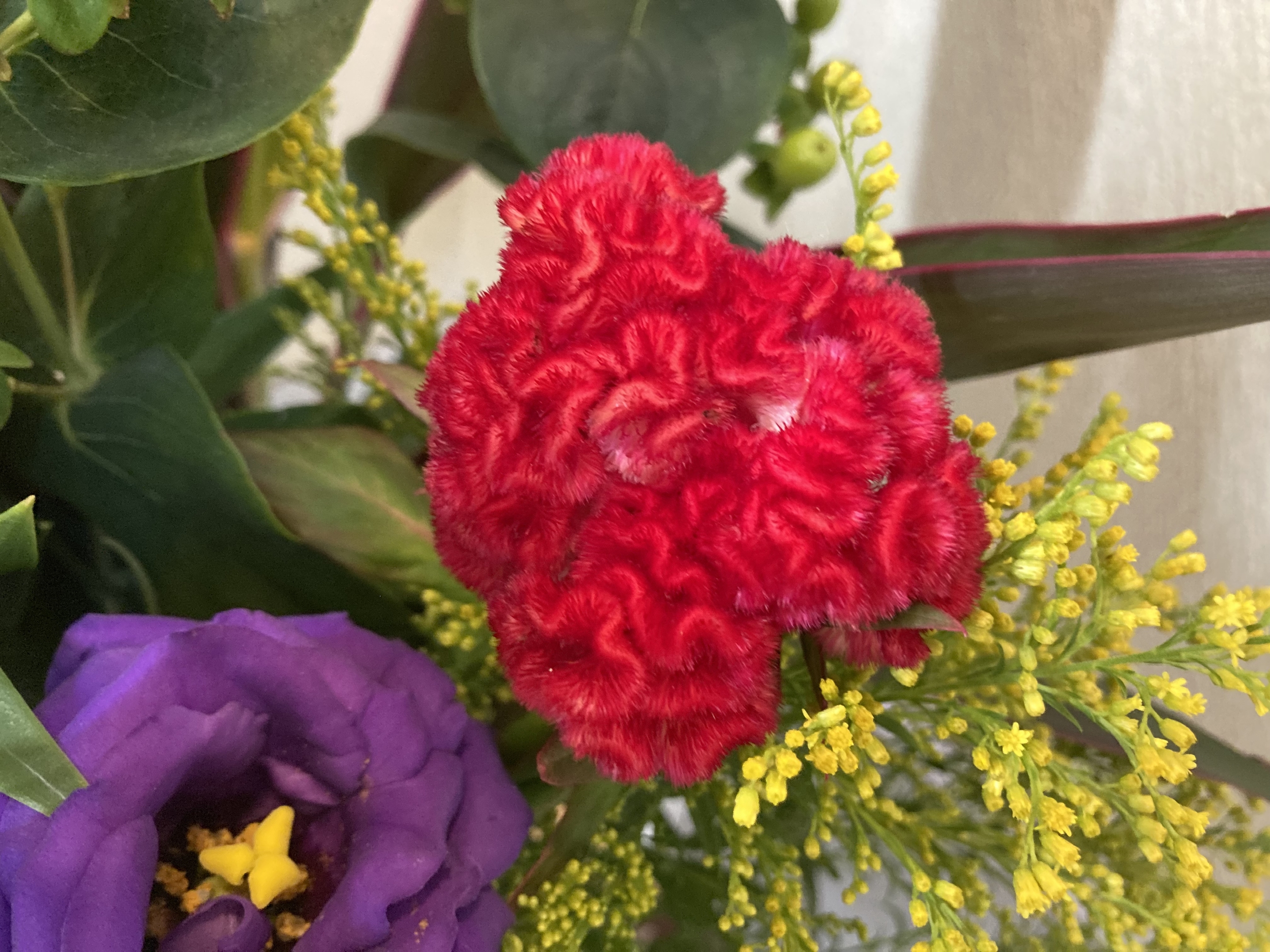 お花