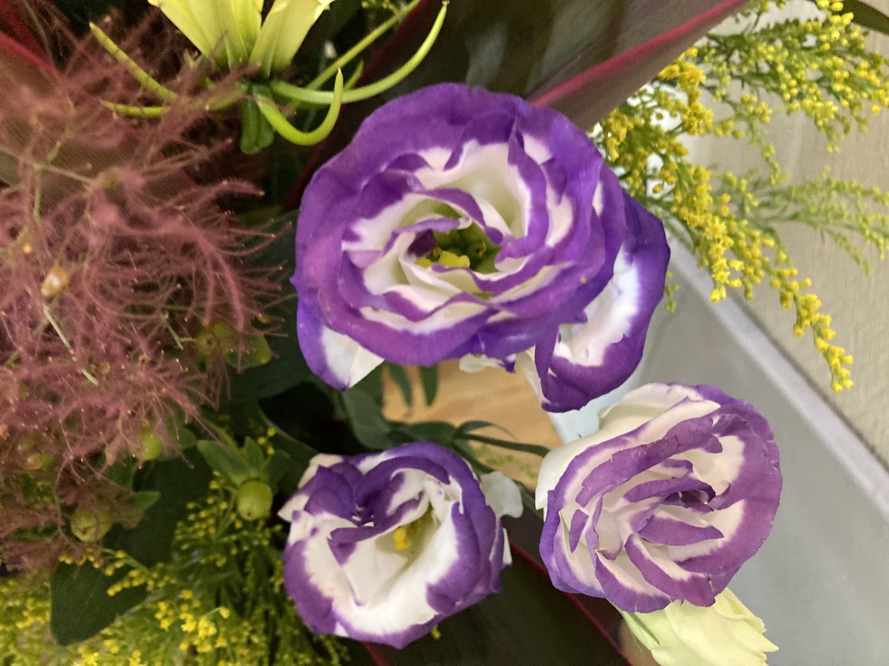 お花