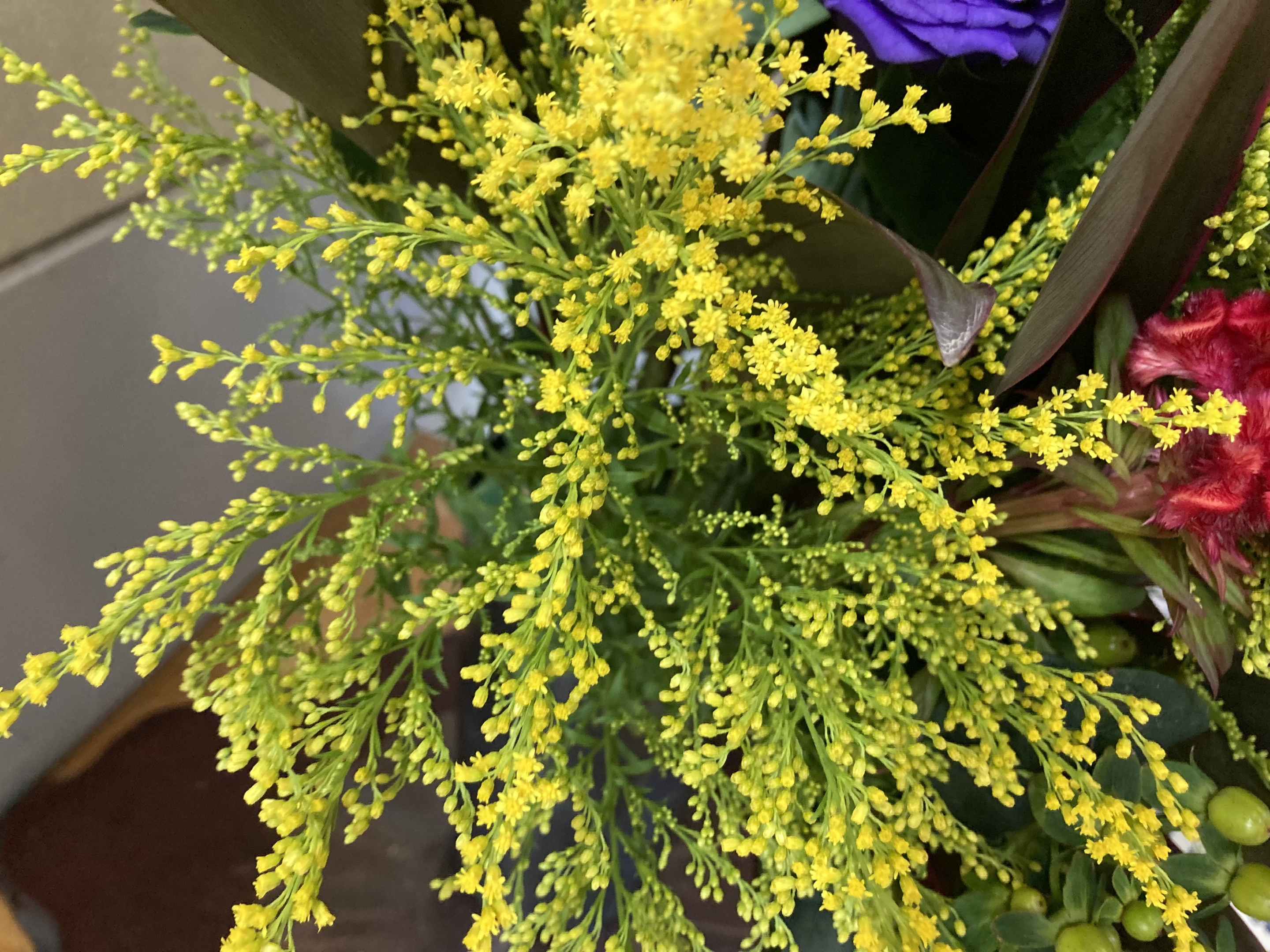 お花