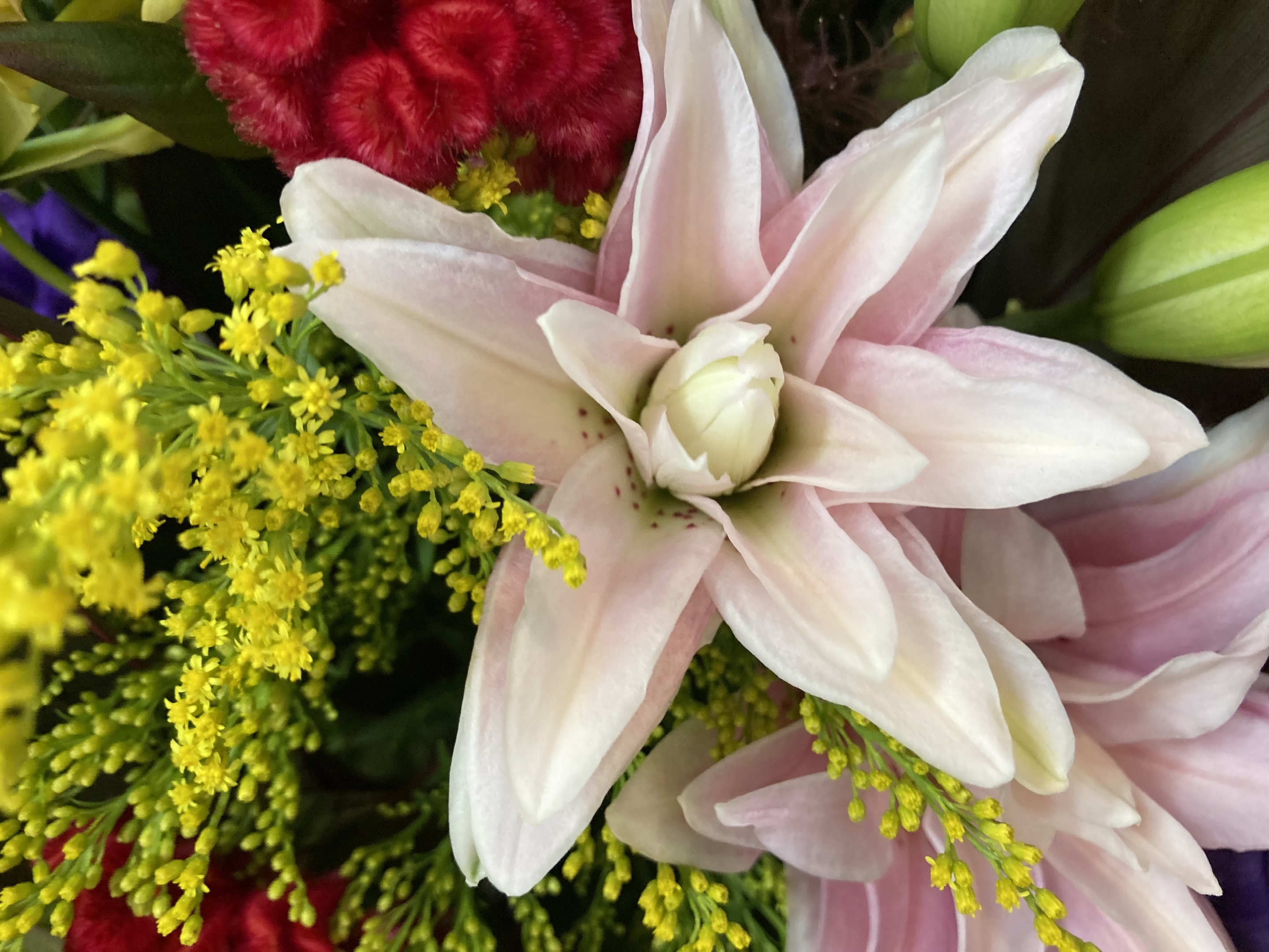 お花
