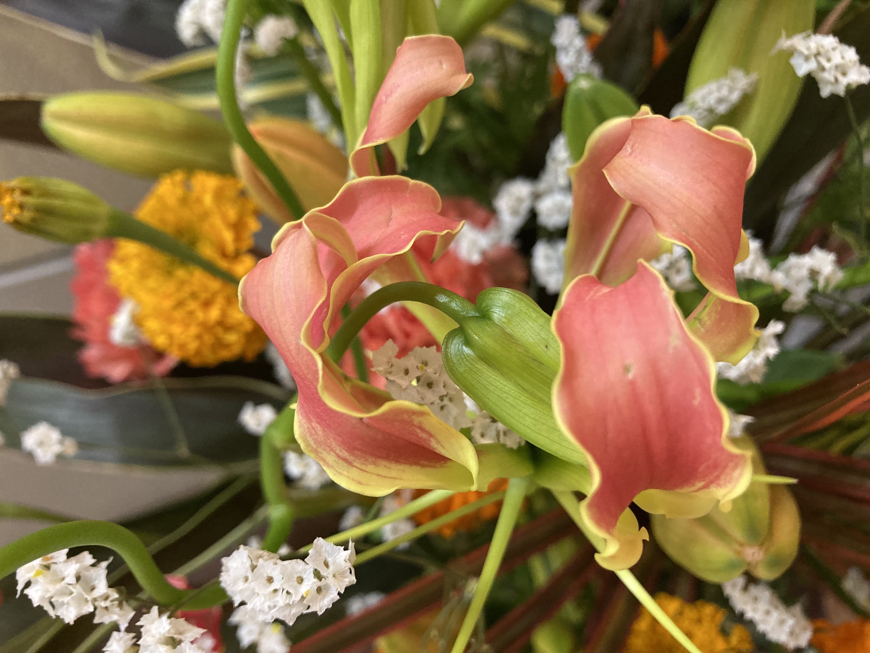 お花