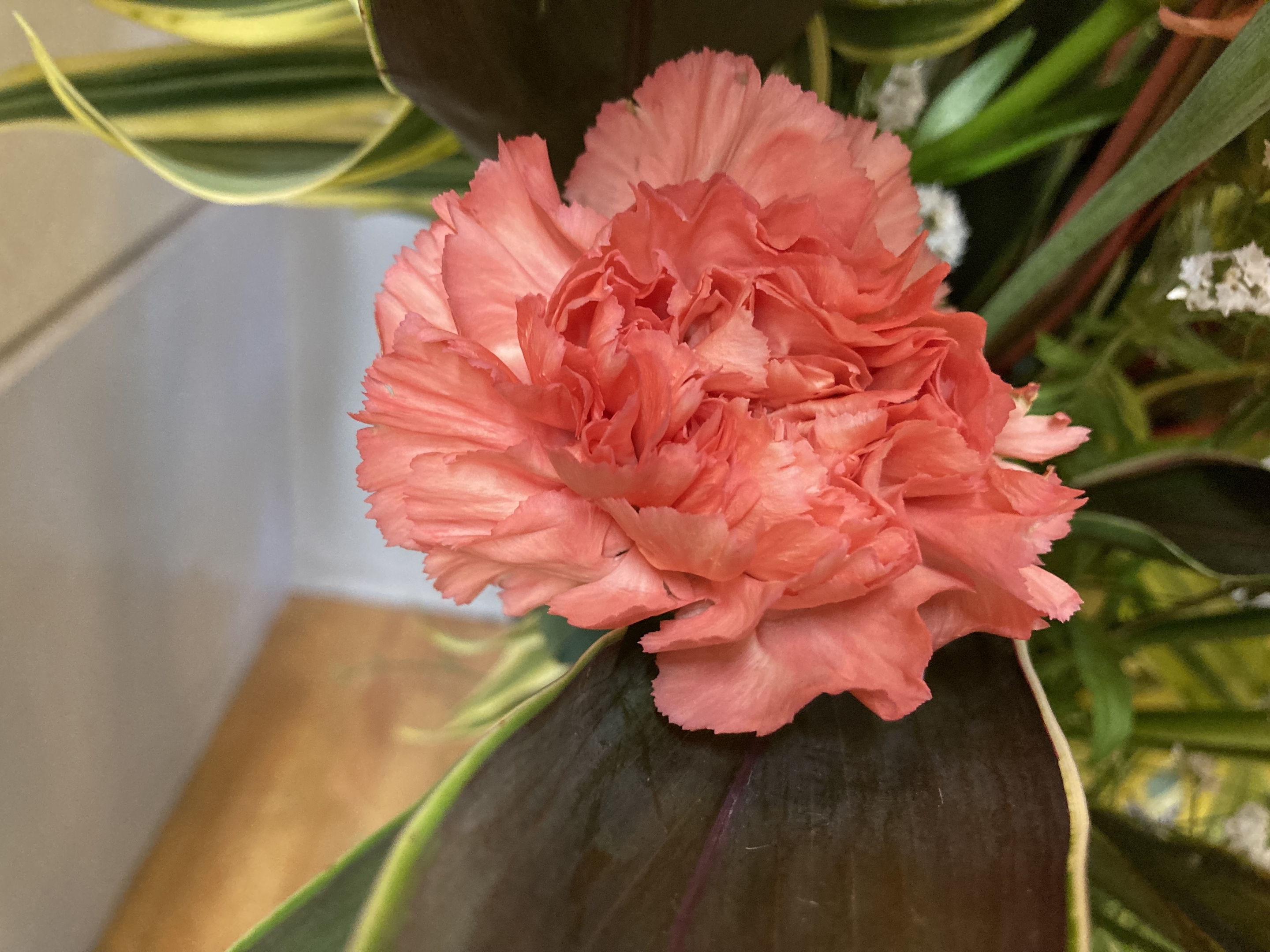 お花