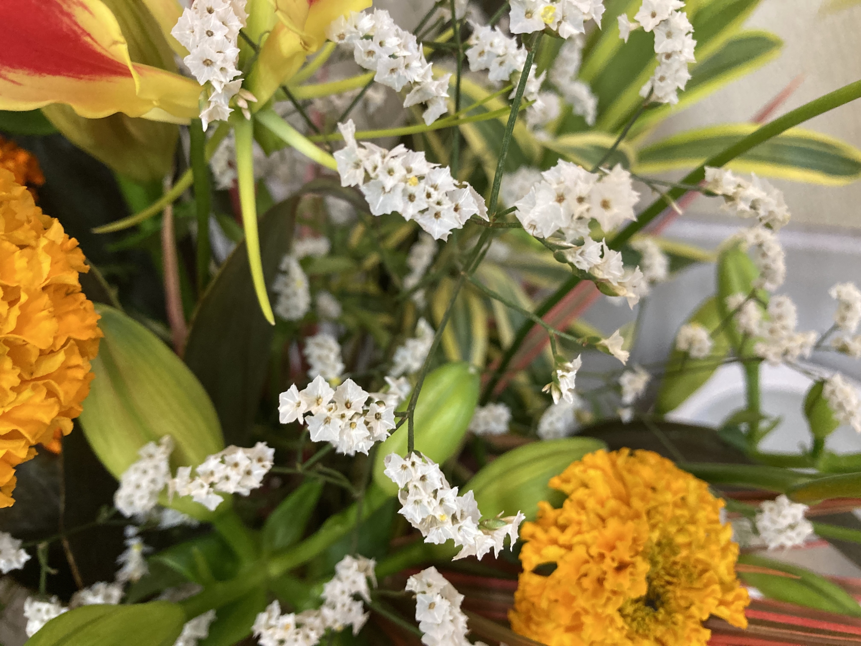 お花