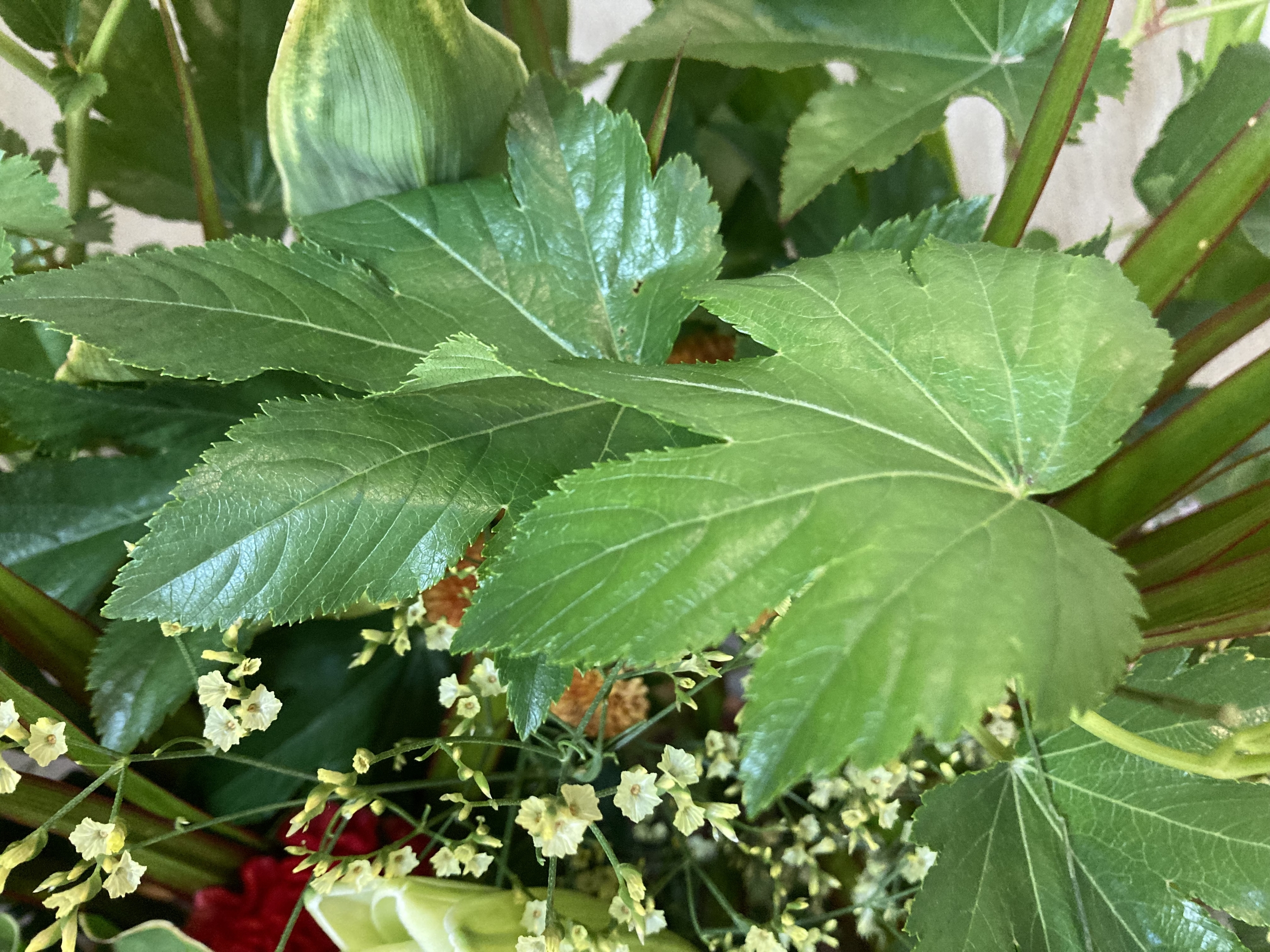 お花