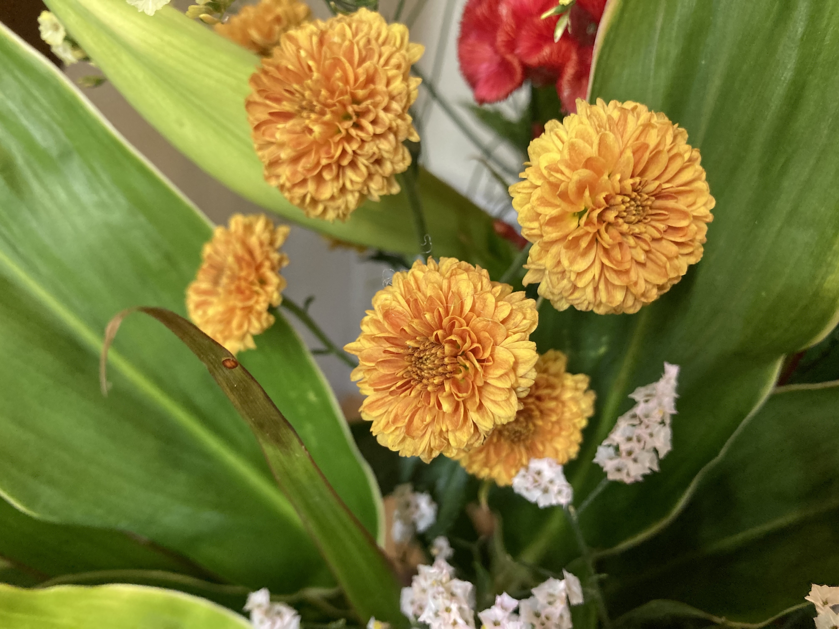 お花
