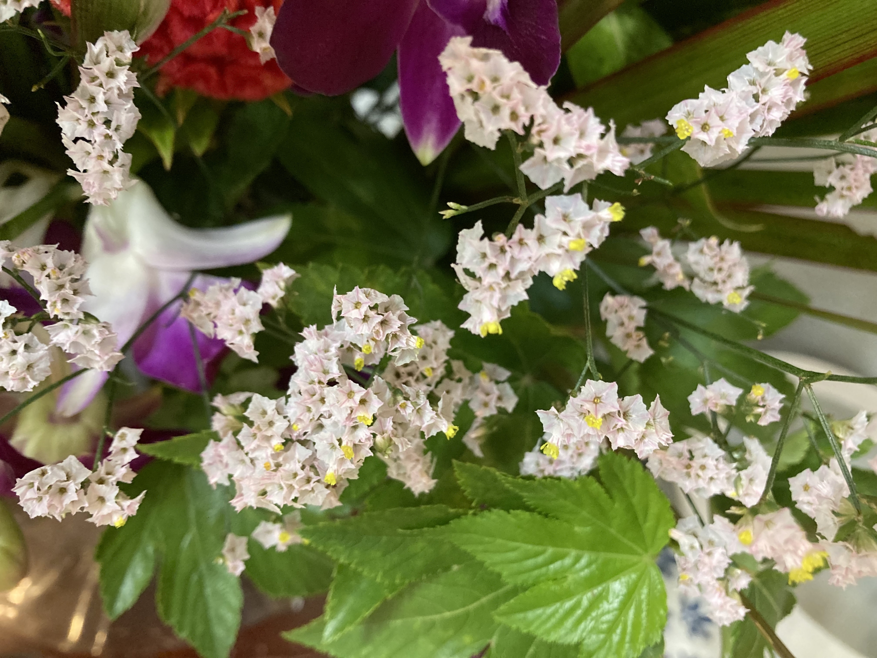 お花