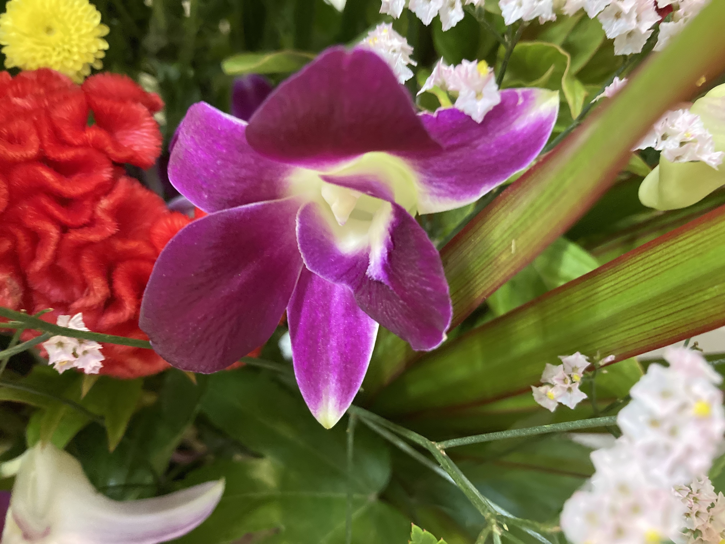 お花
