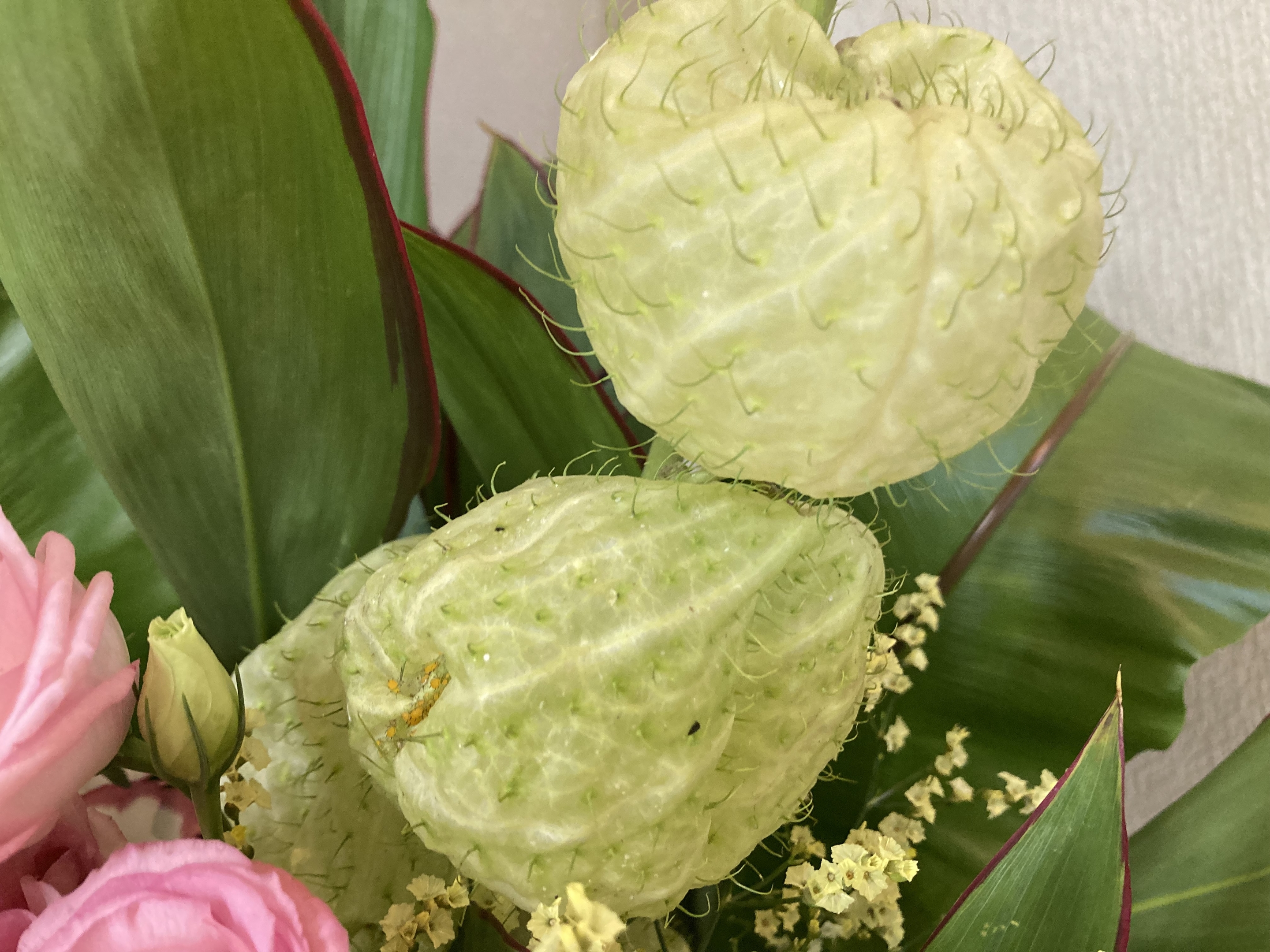 お花