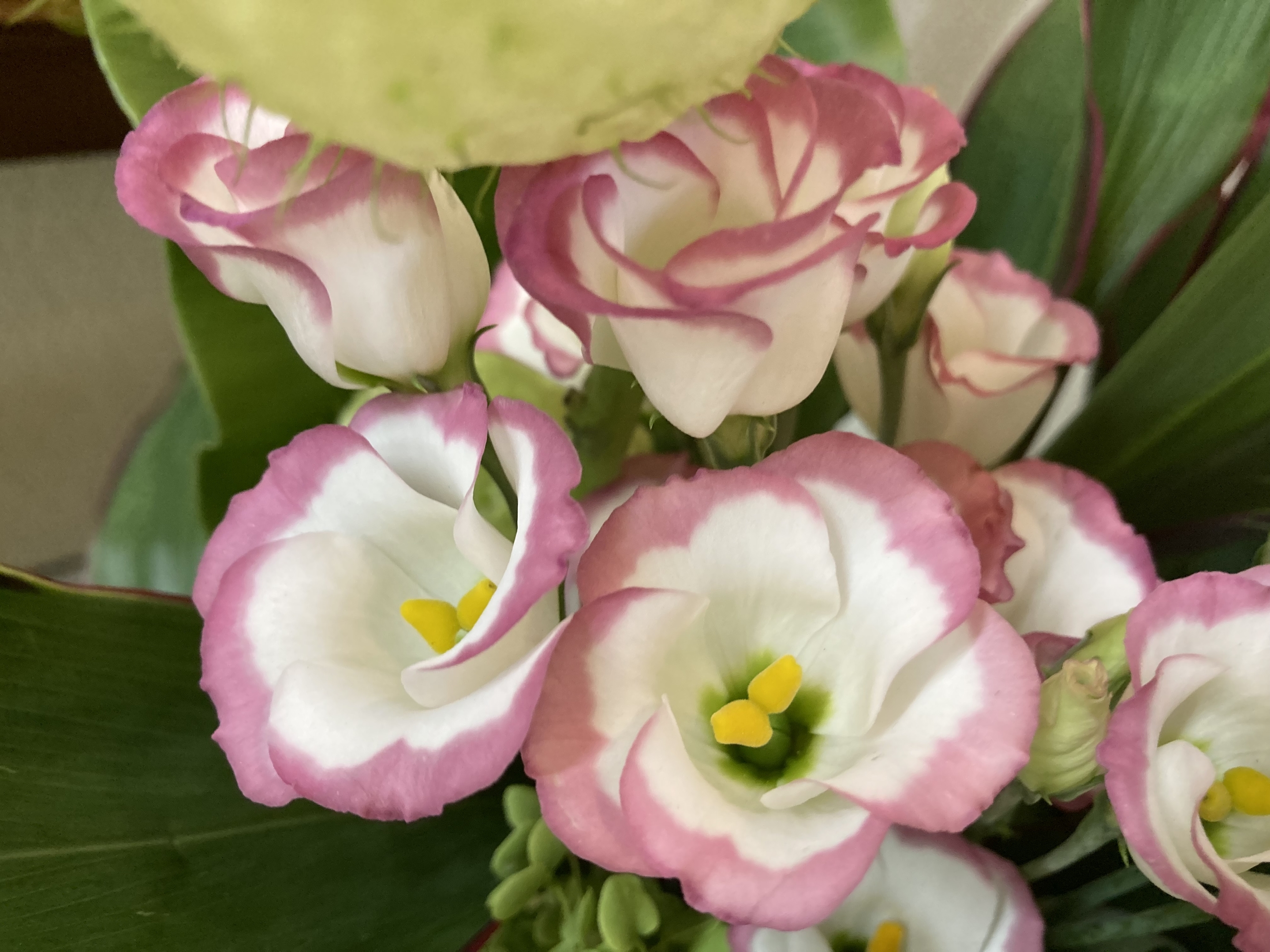 お花