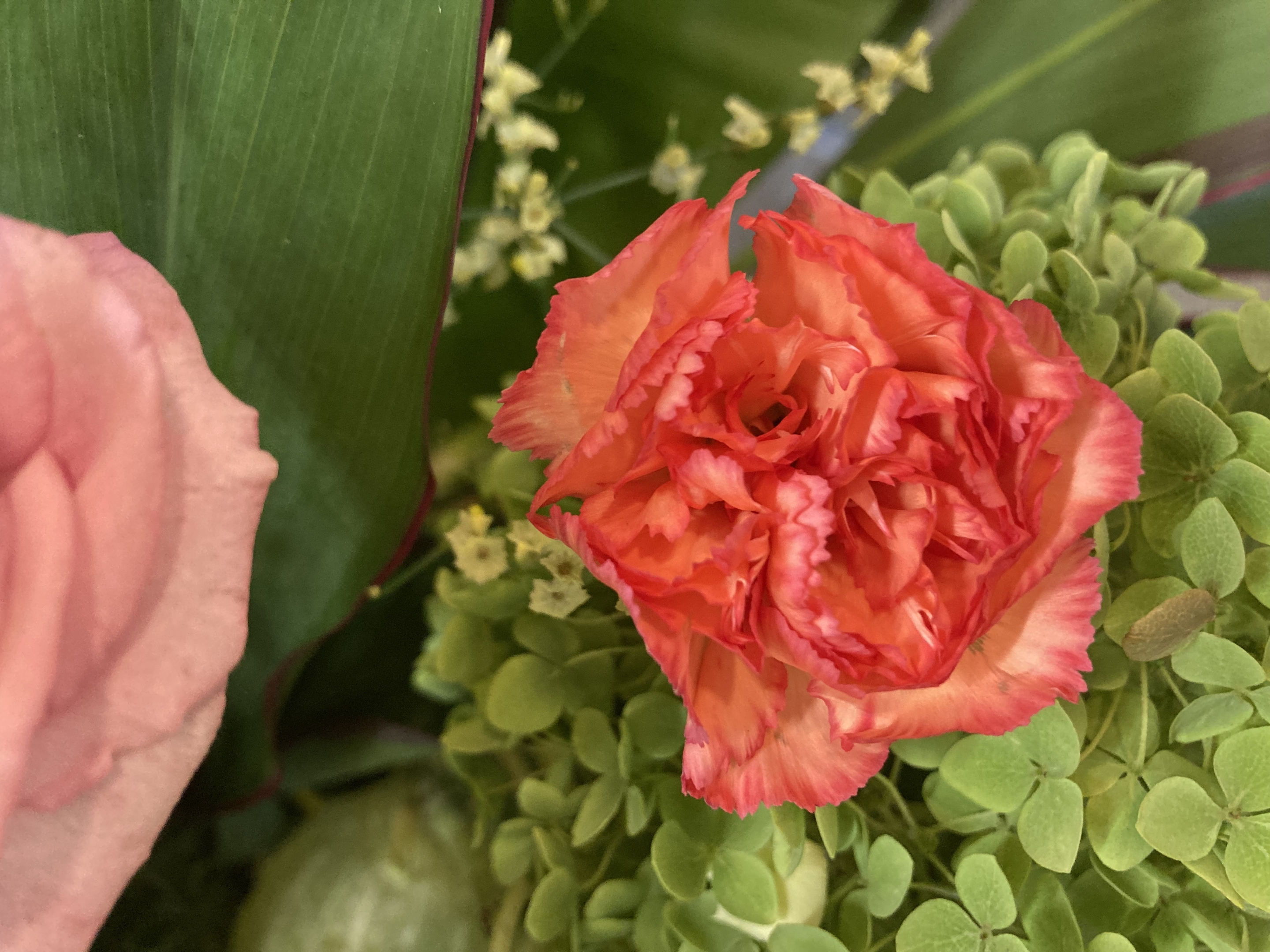 お花