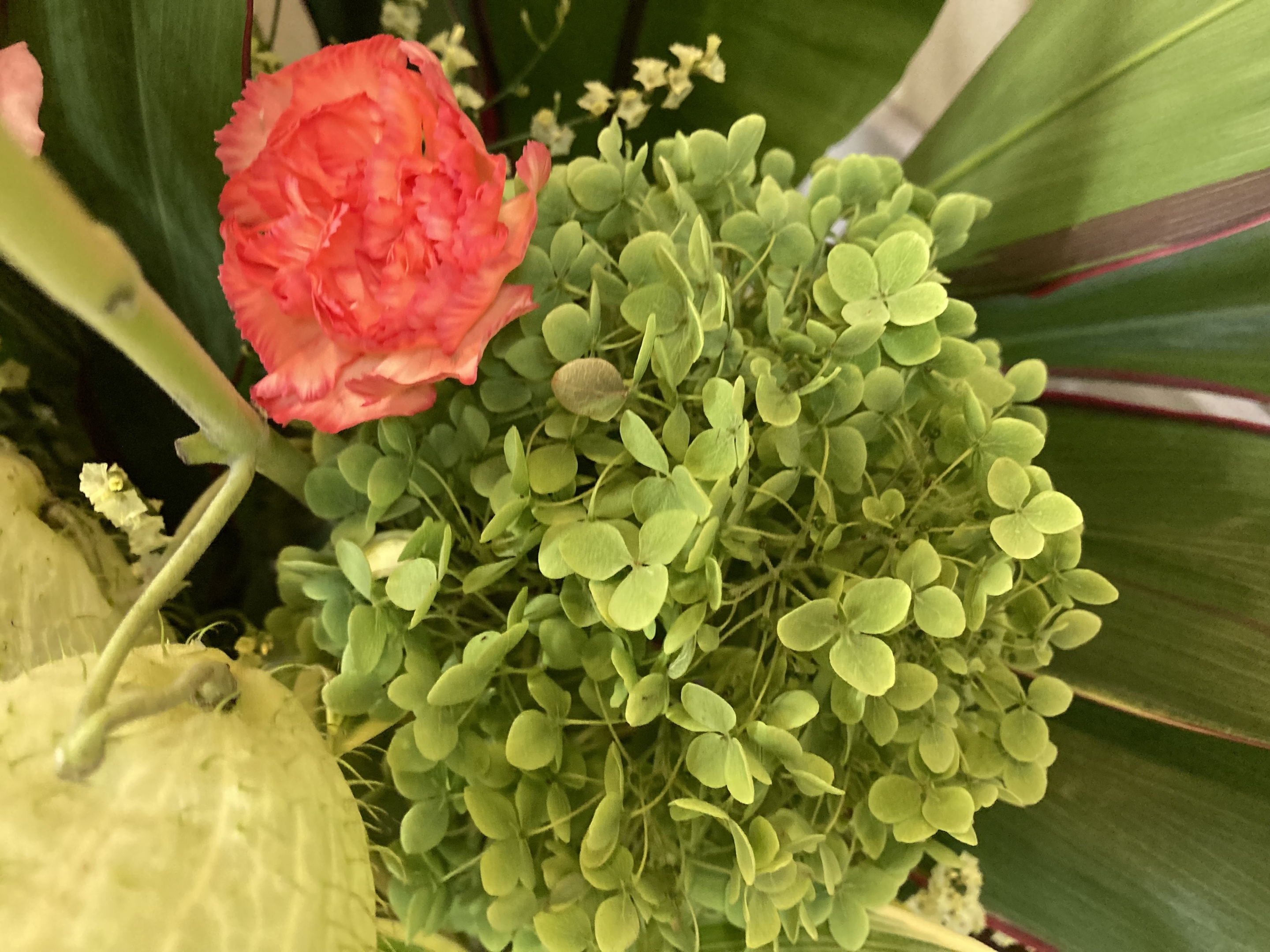 お花