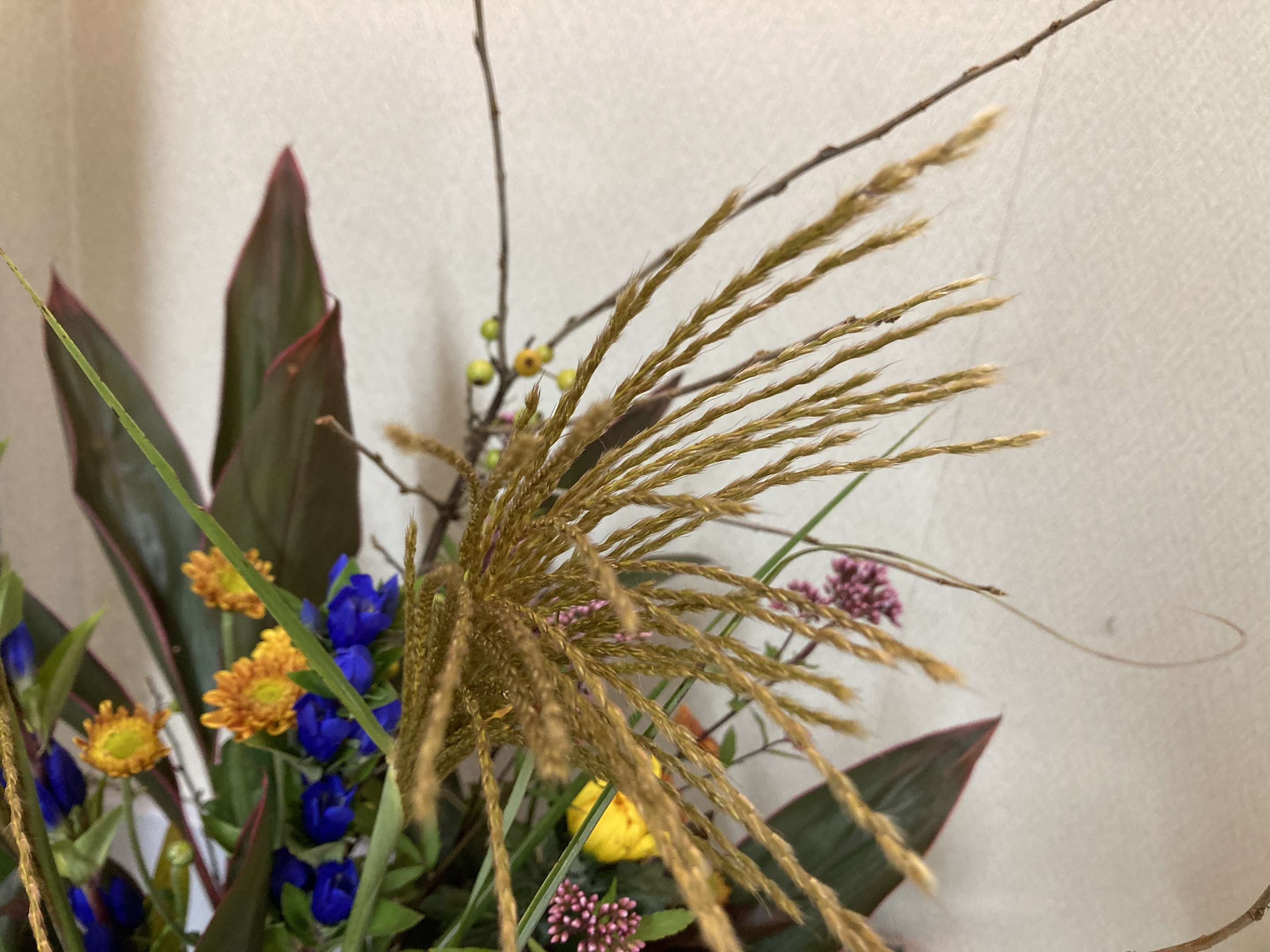 お花