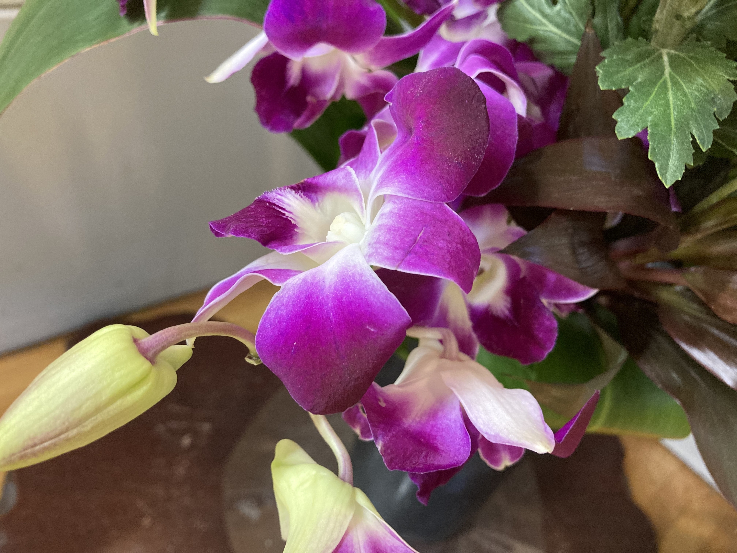 お花