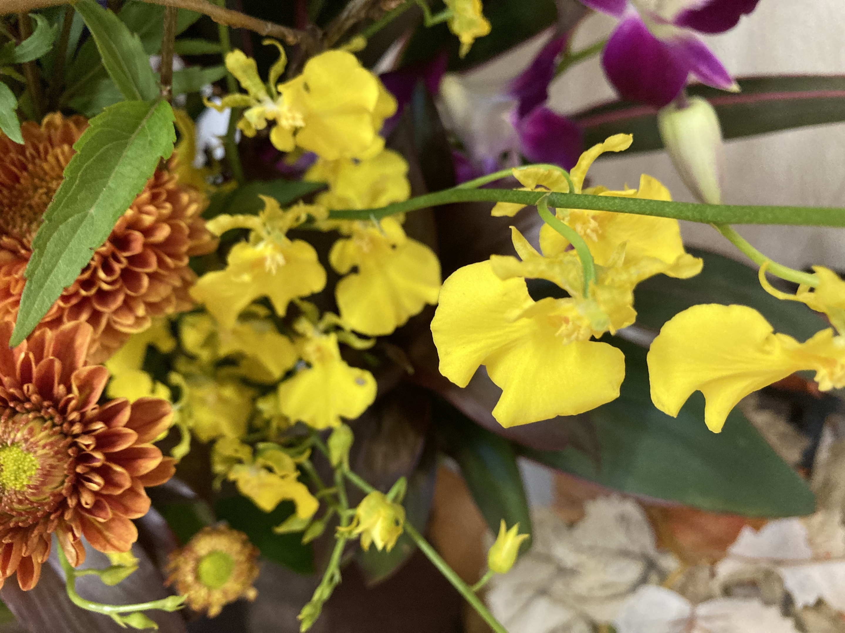 お花