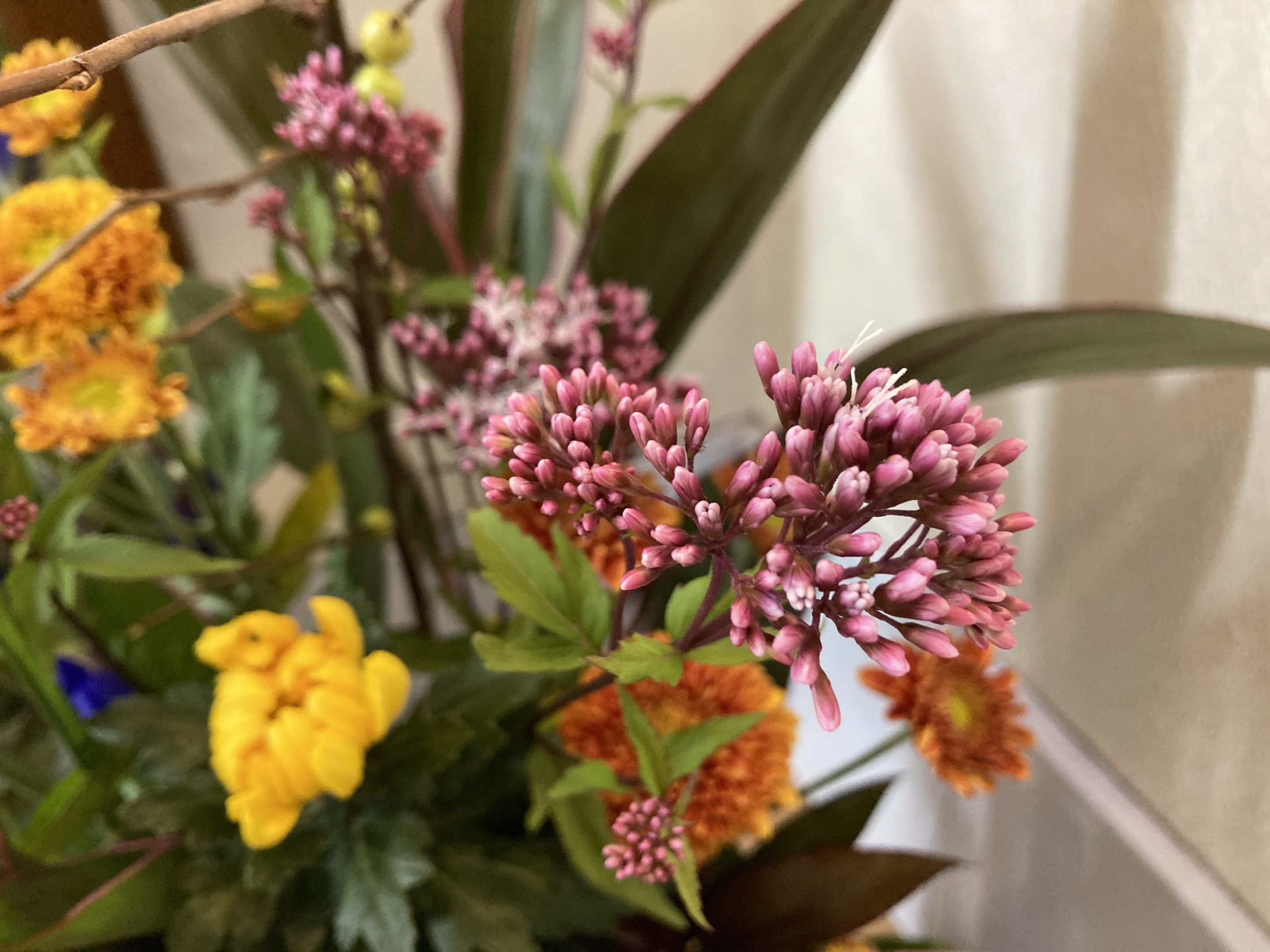お花