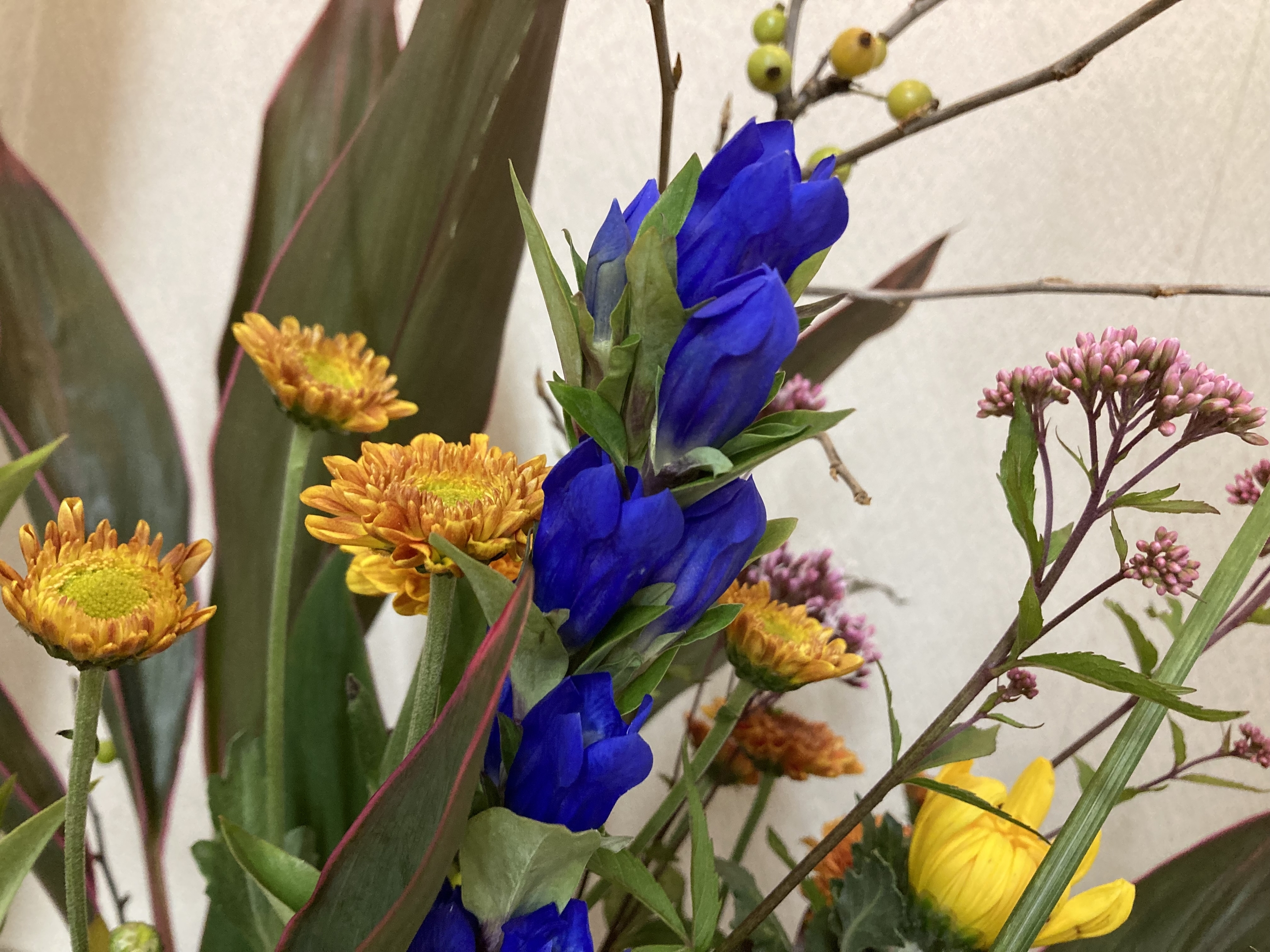 お花