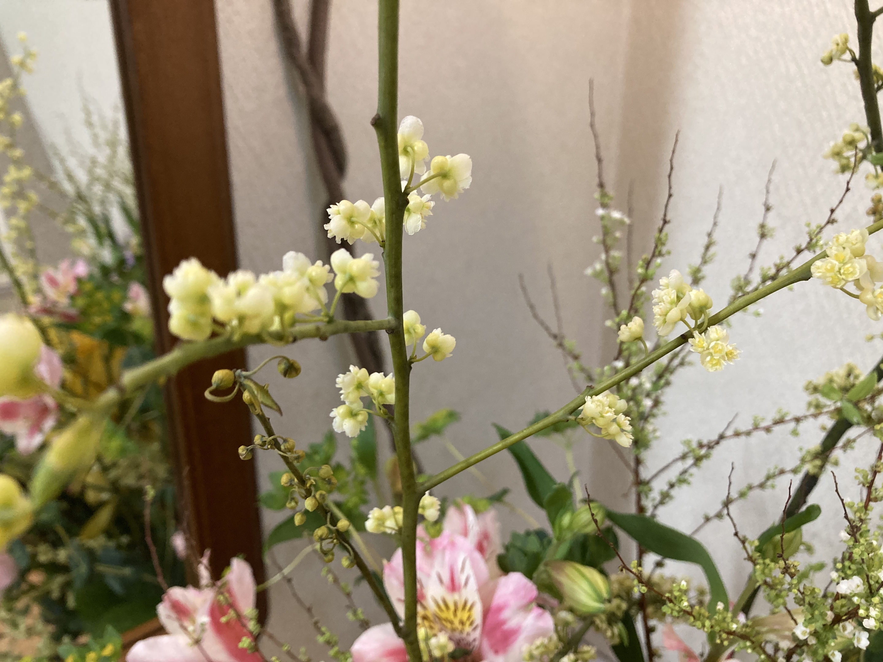 お花