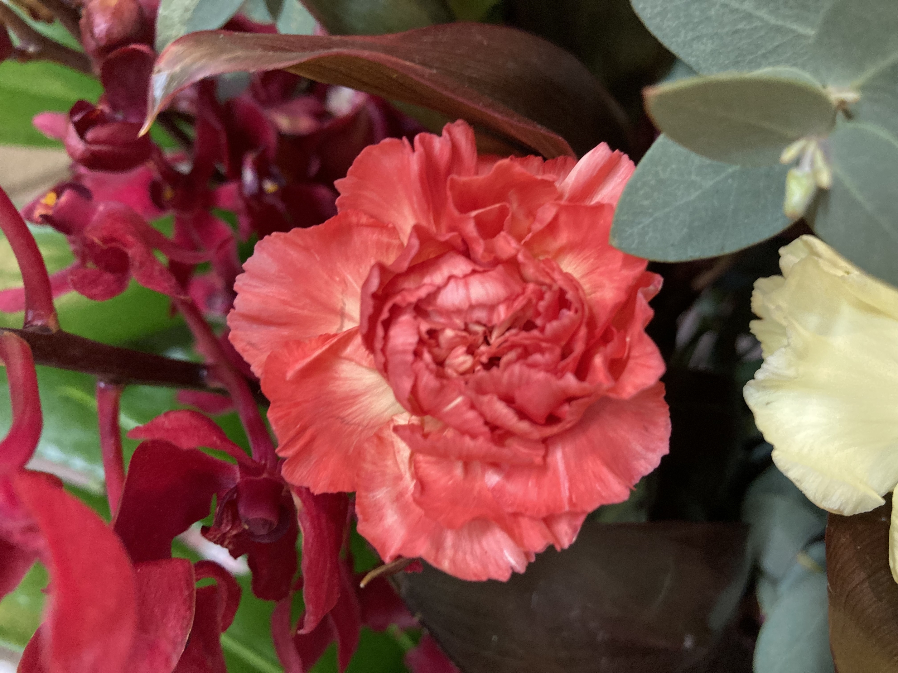 お花
