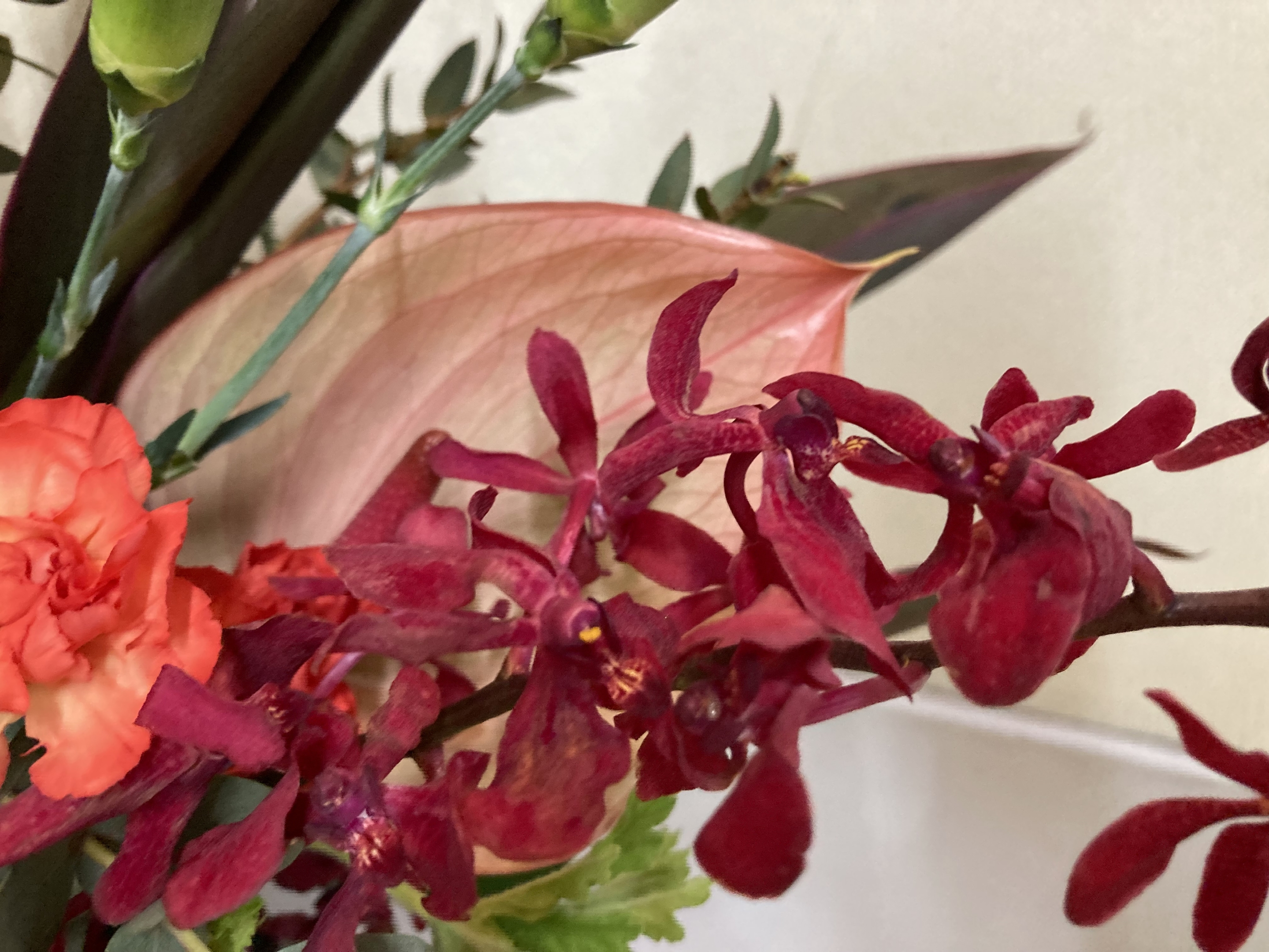 お花