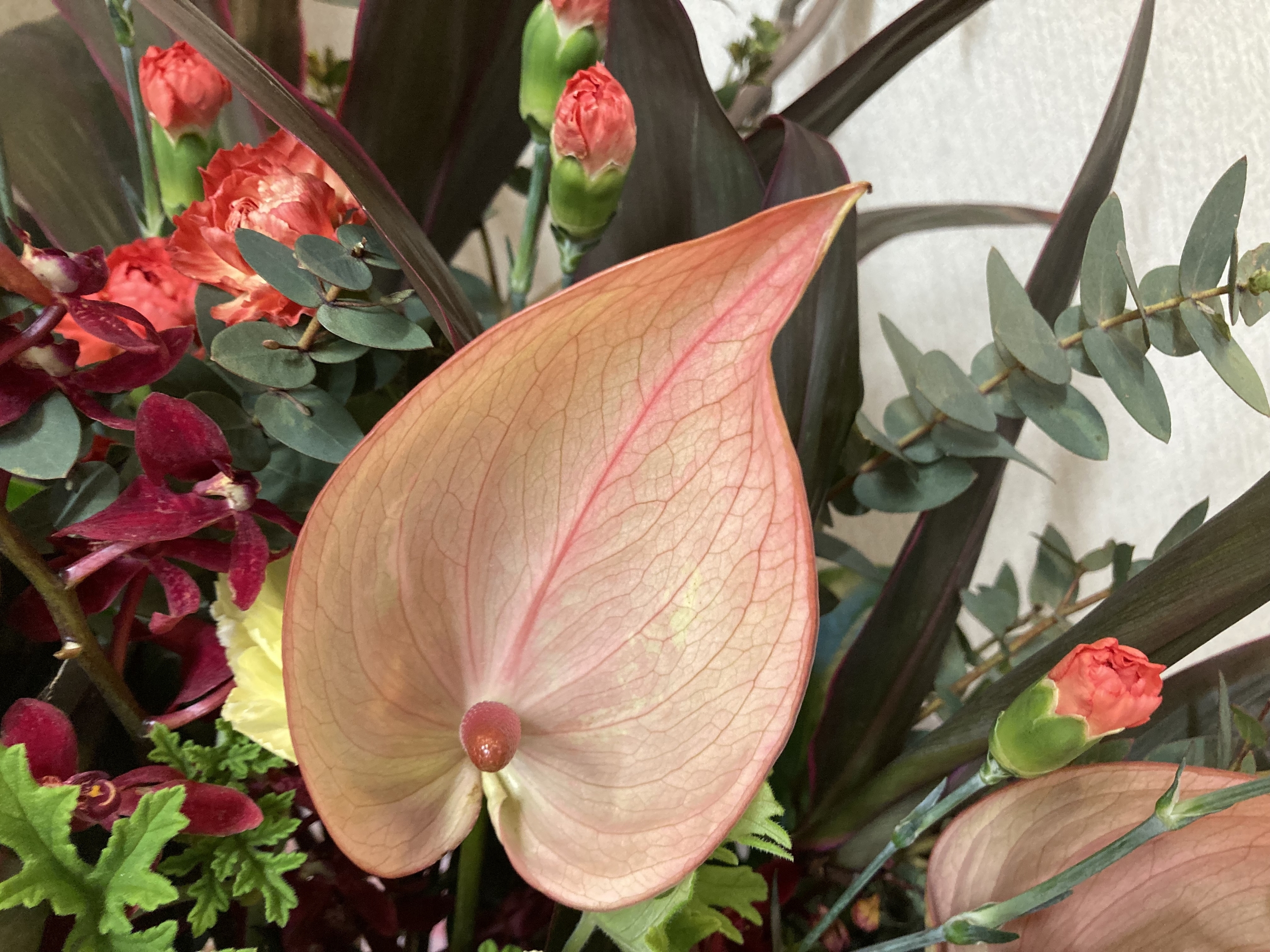 お花