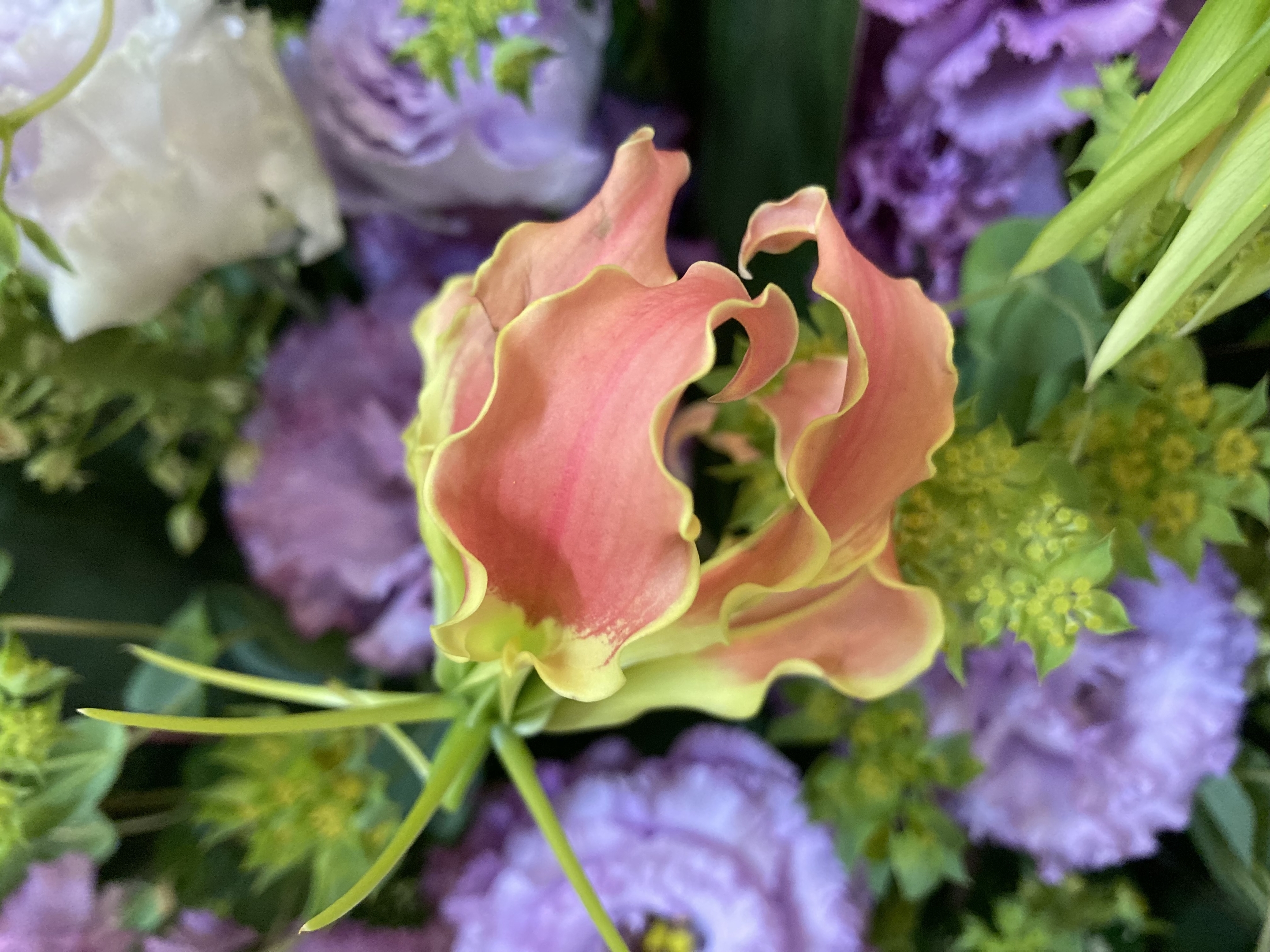 お花