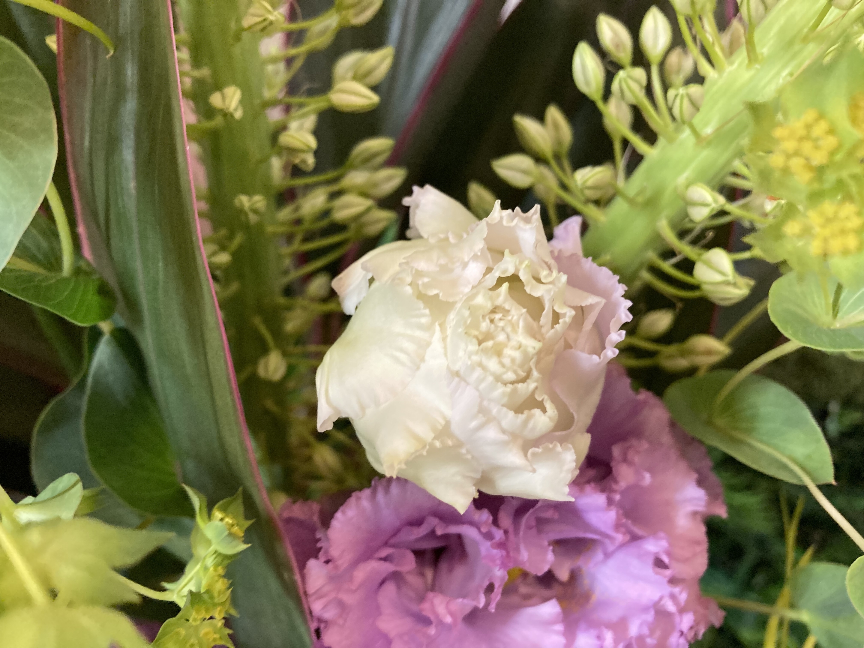 お花