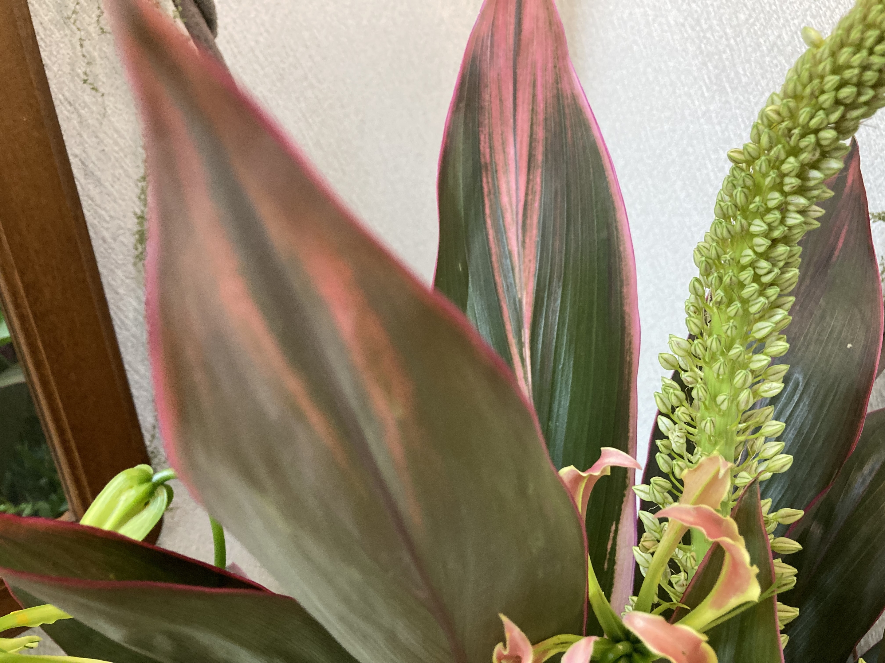 お花