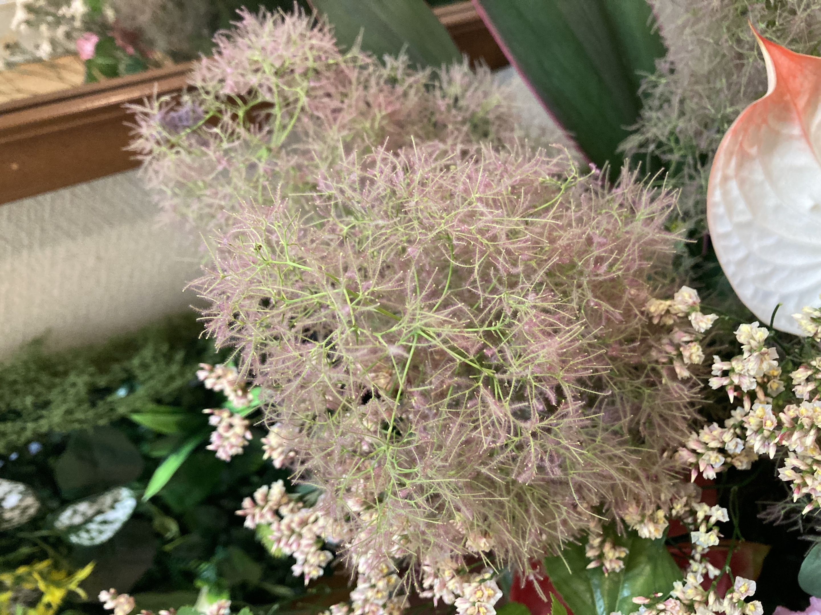 お花