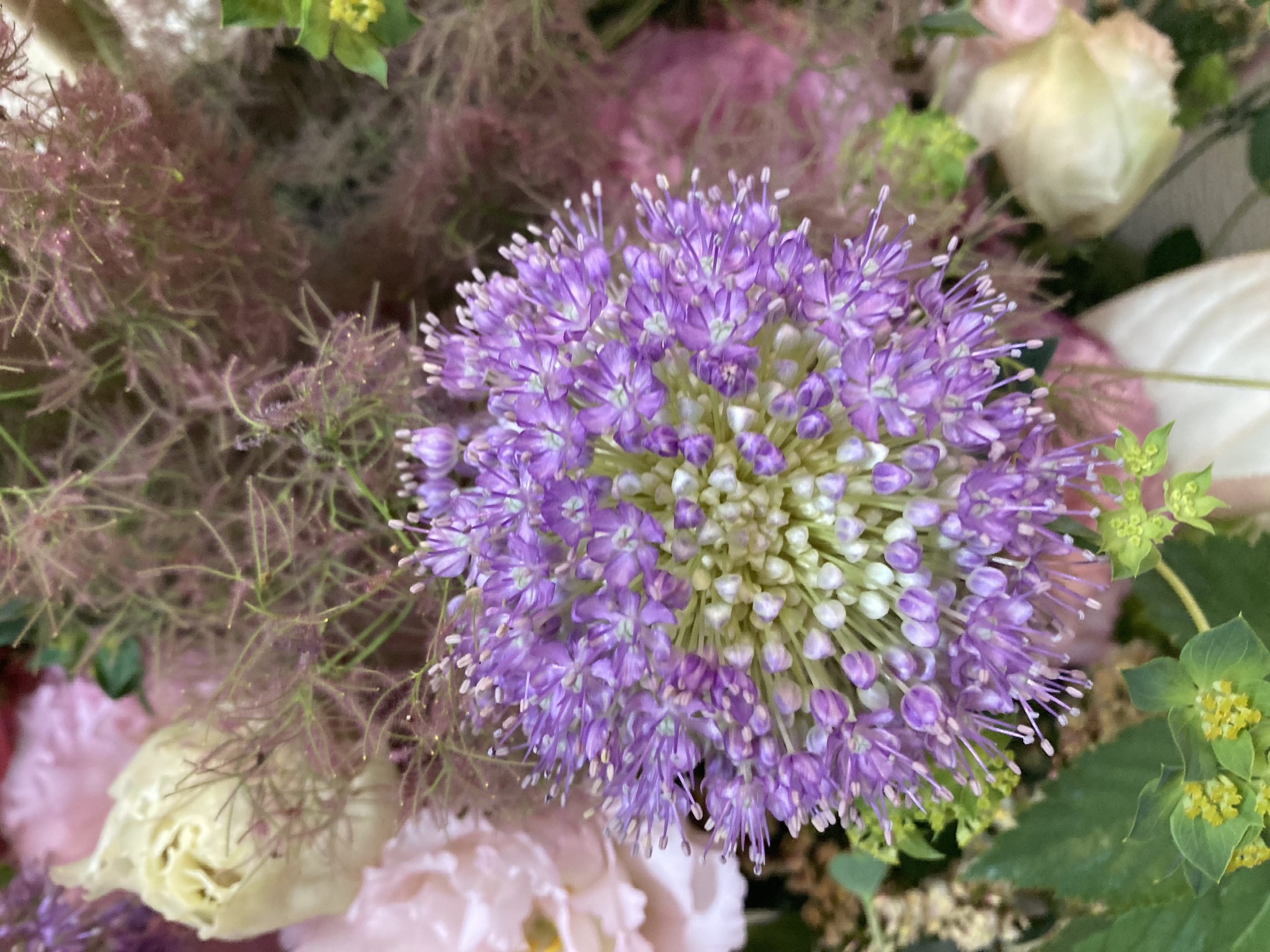 お花