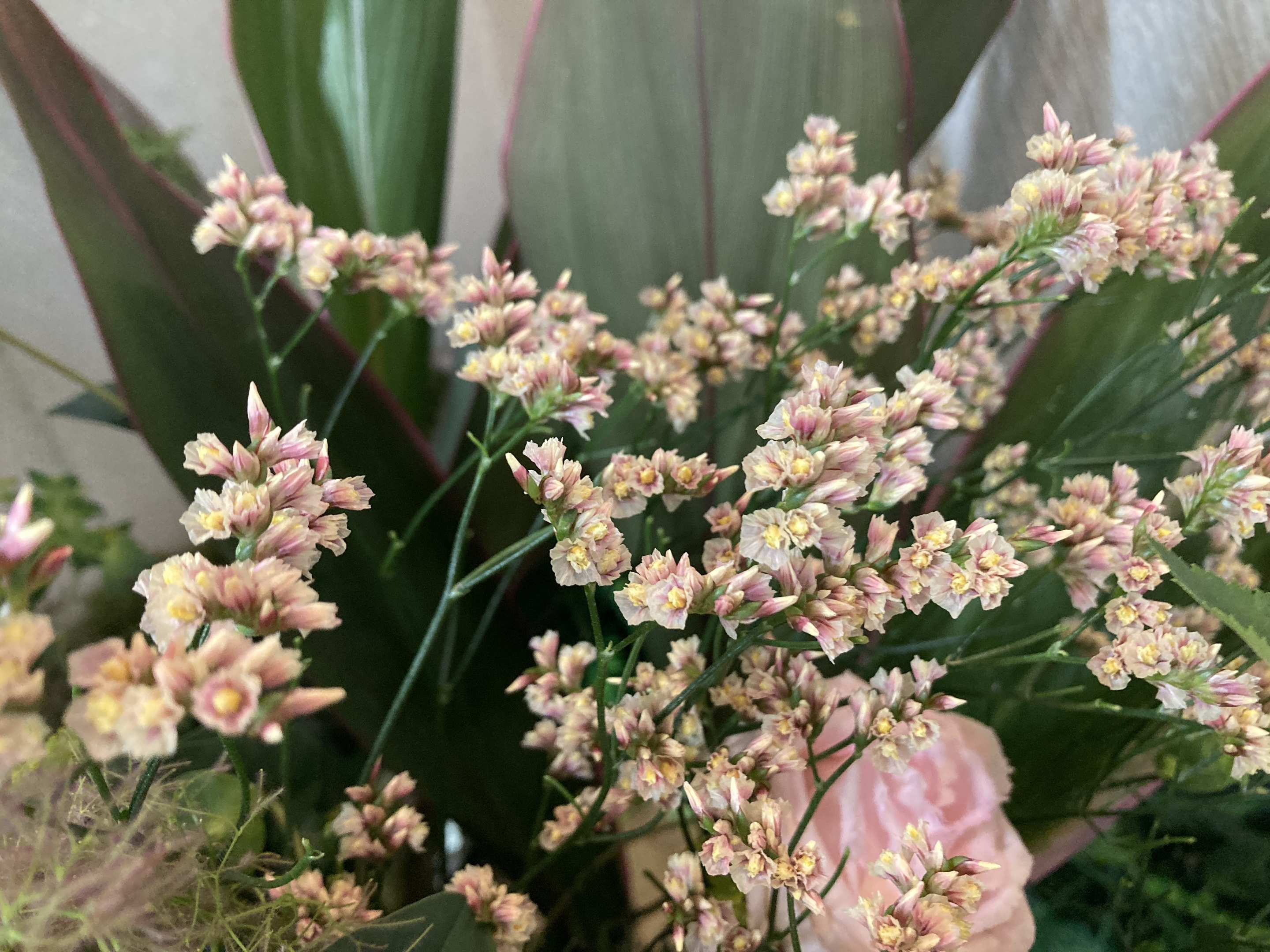 お花
