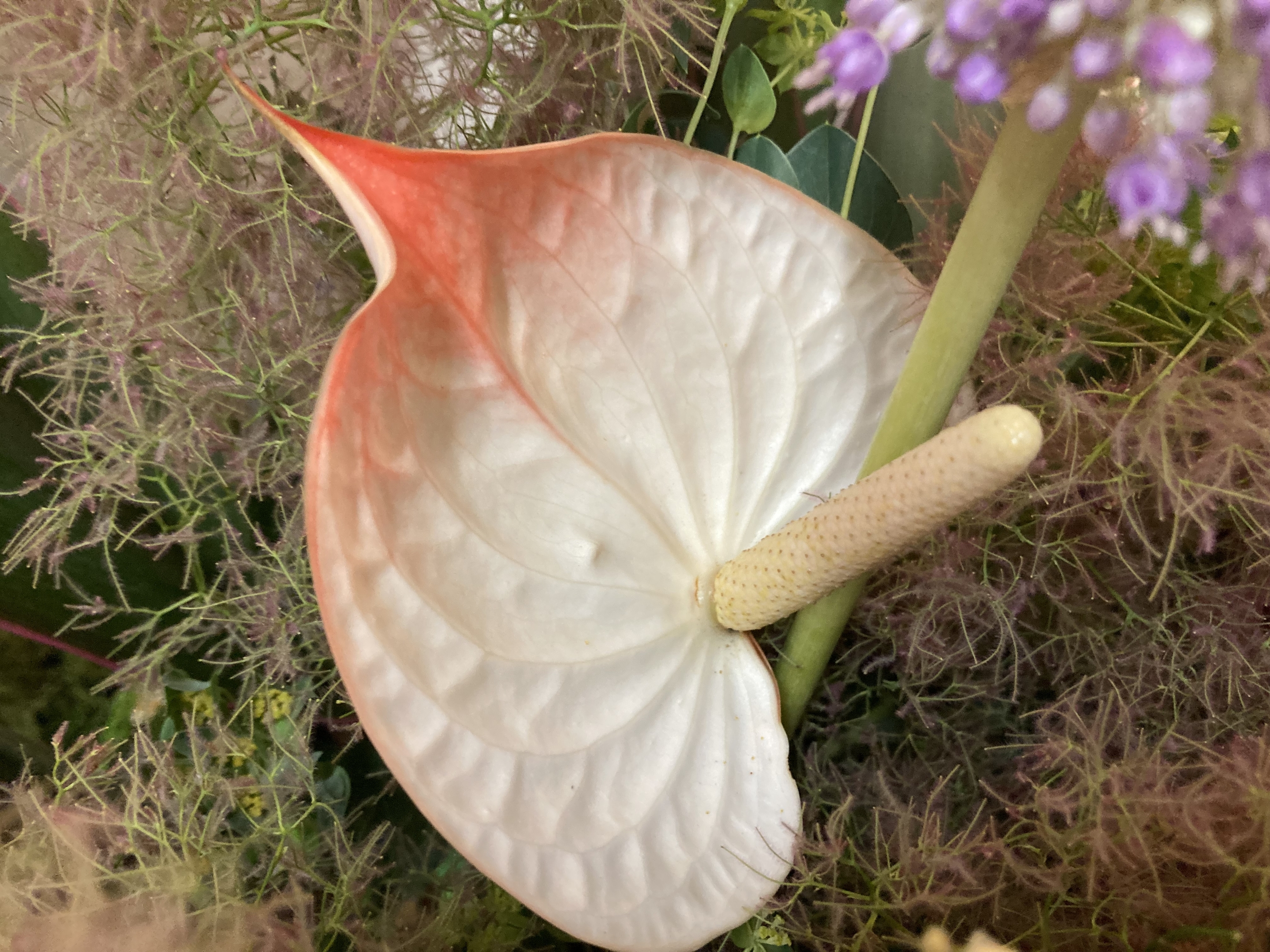 お花