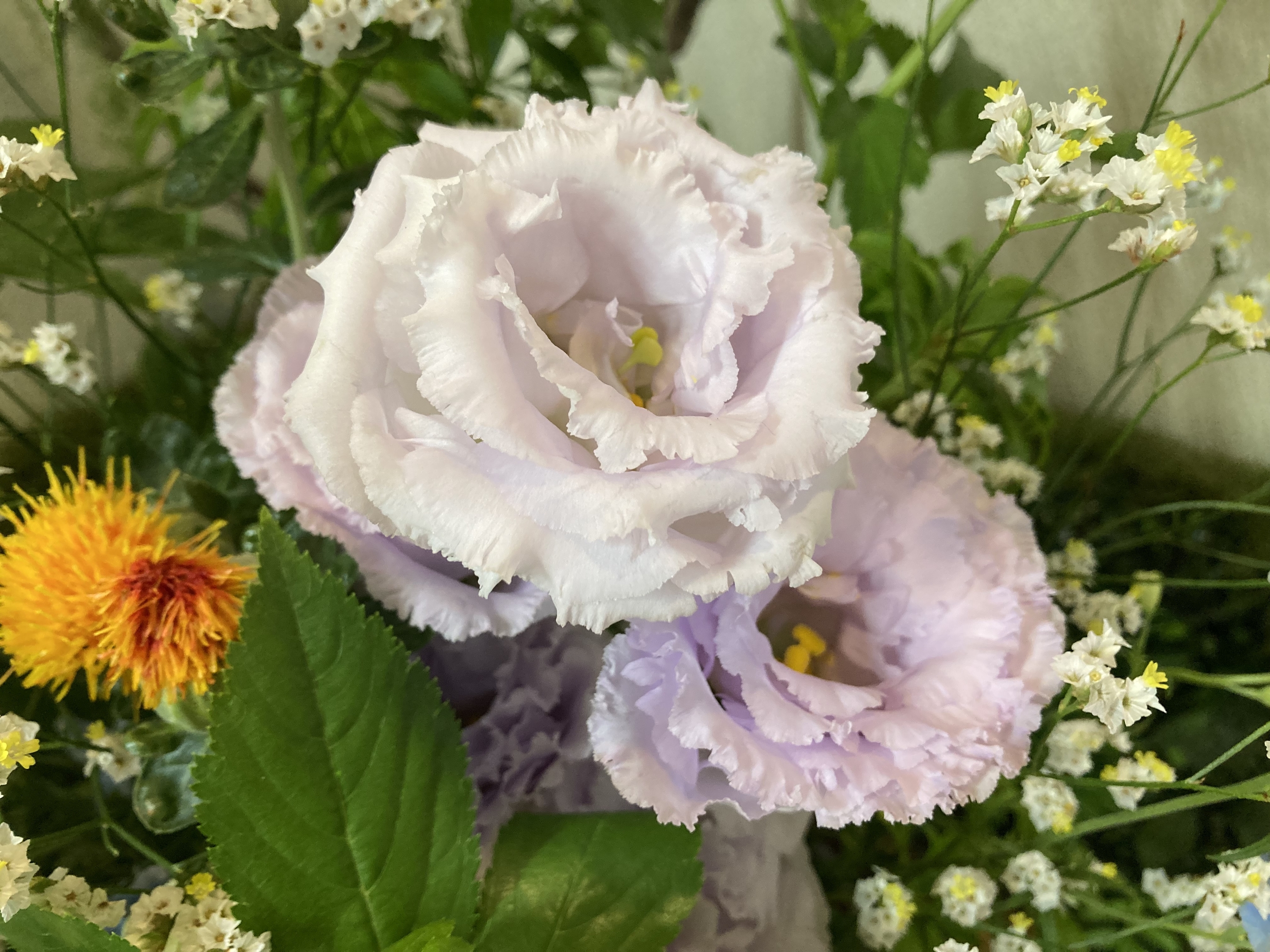 お花