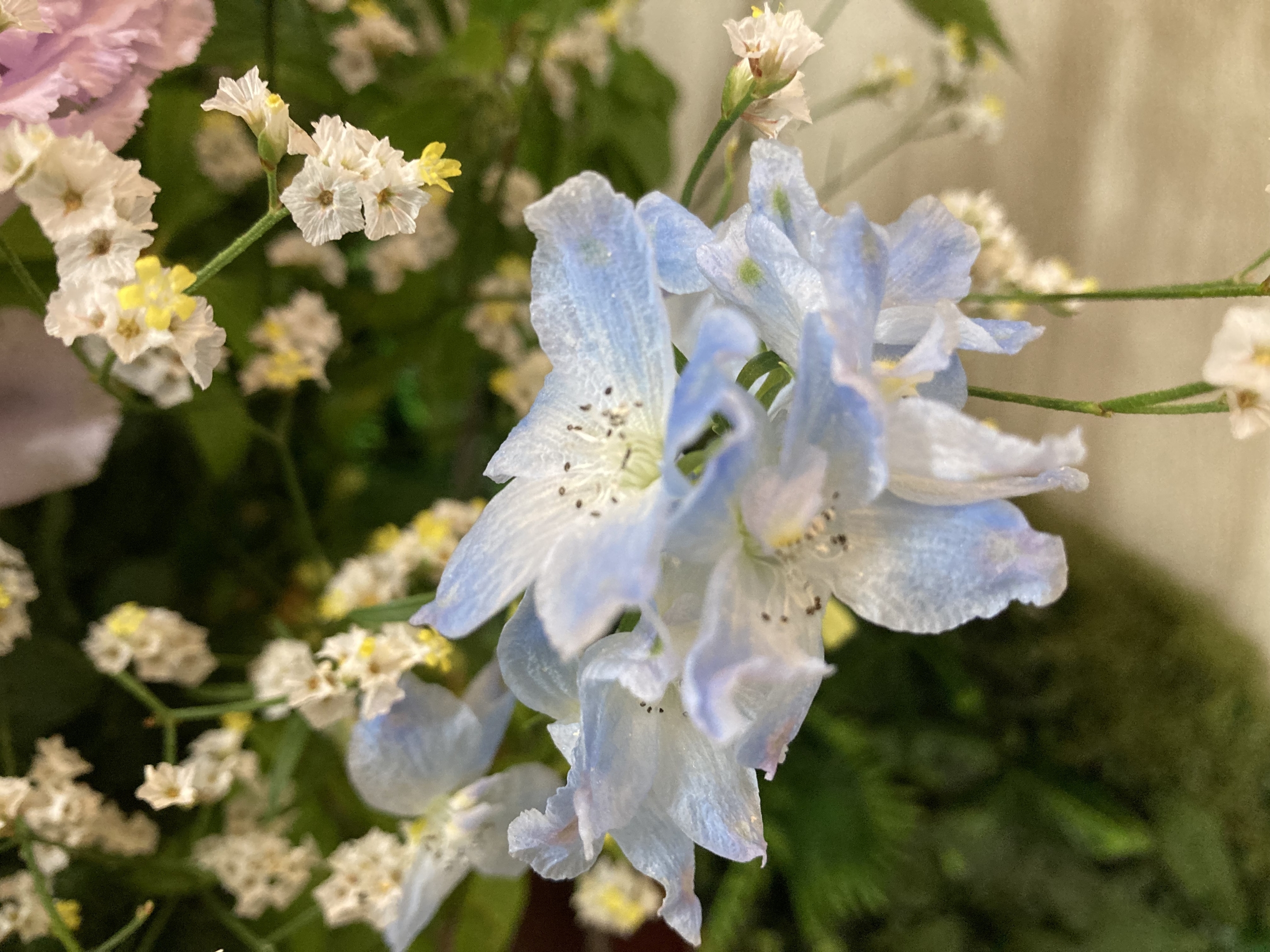 お花