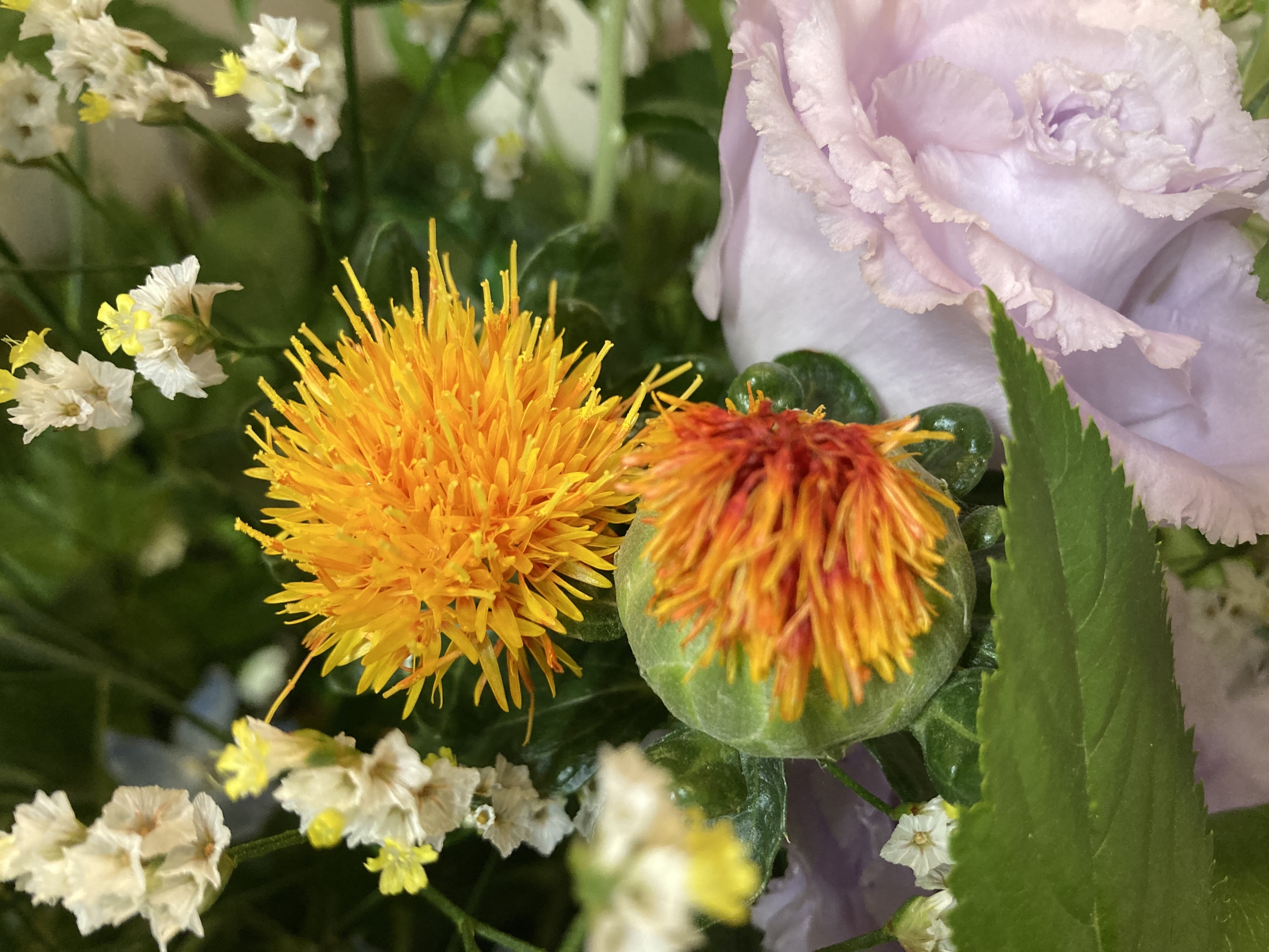 お花