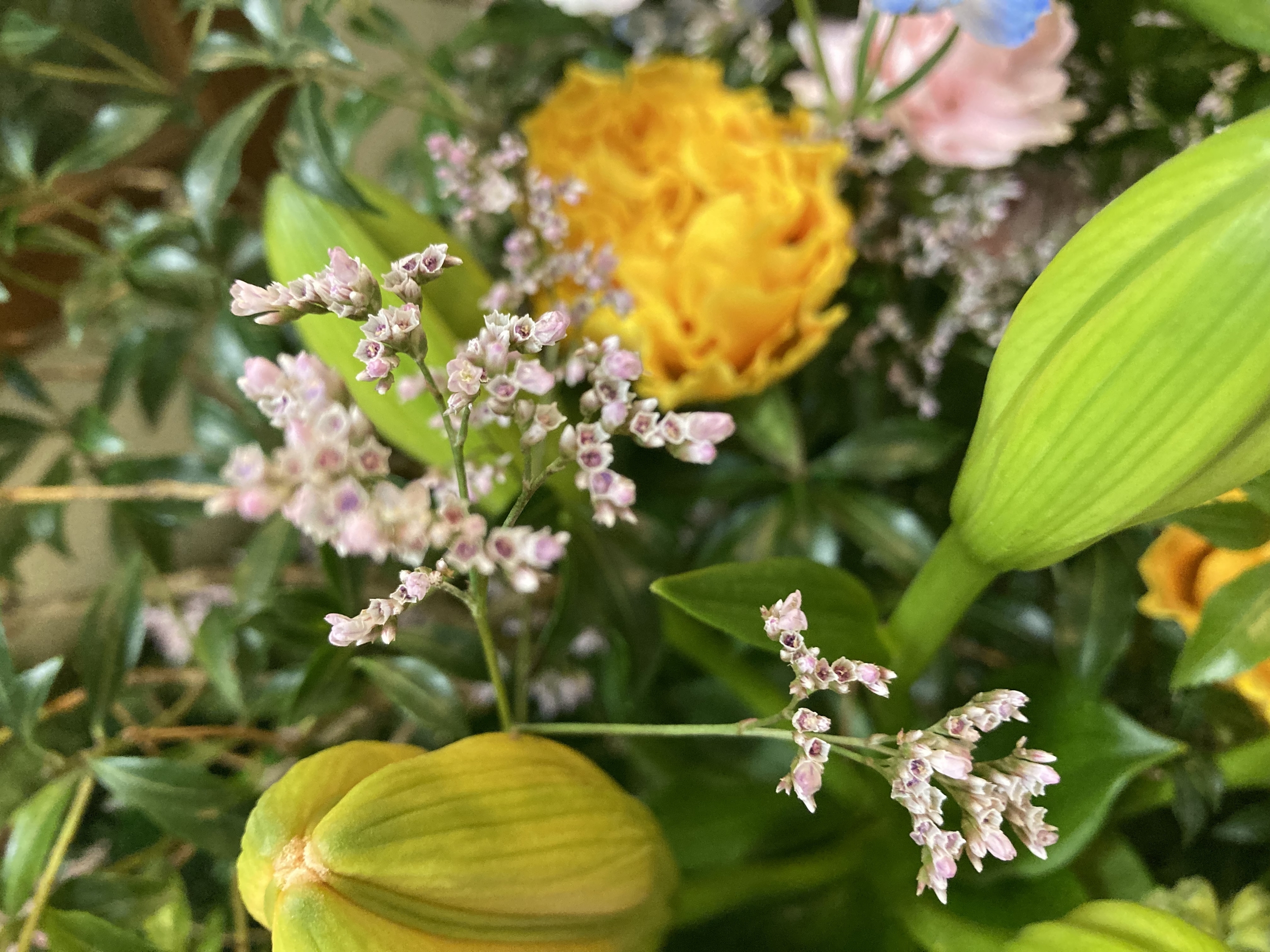 お花