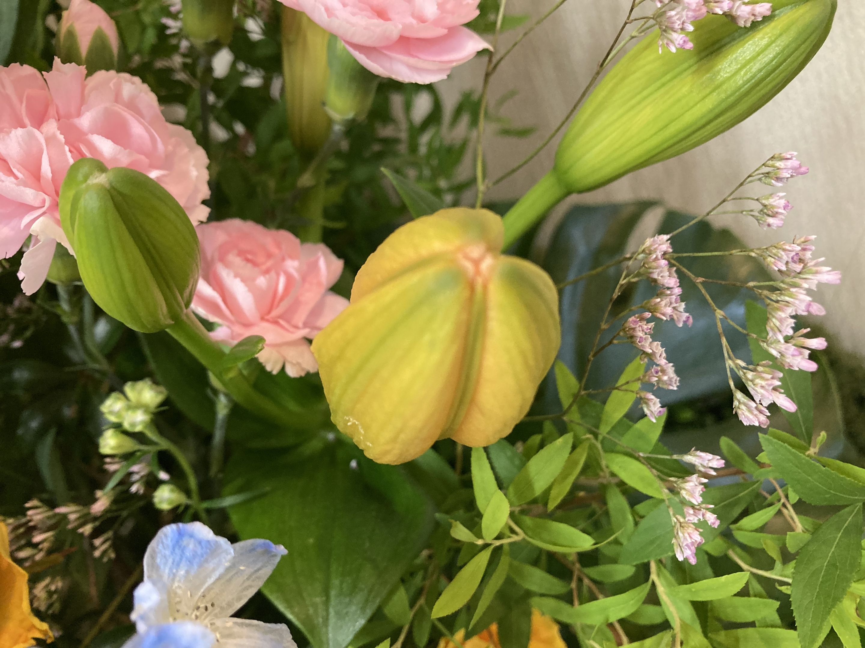 お花