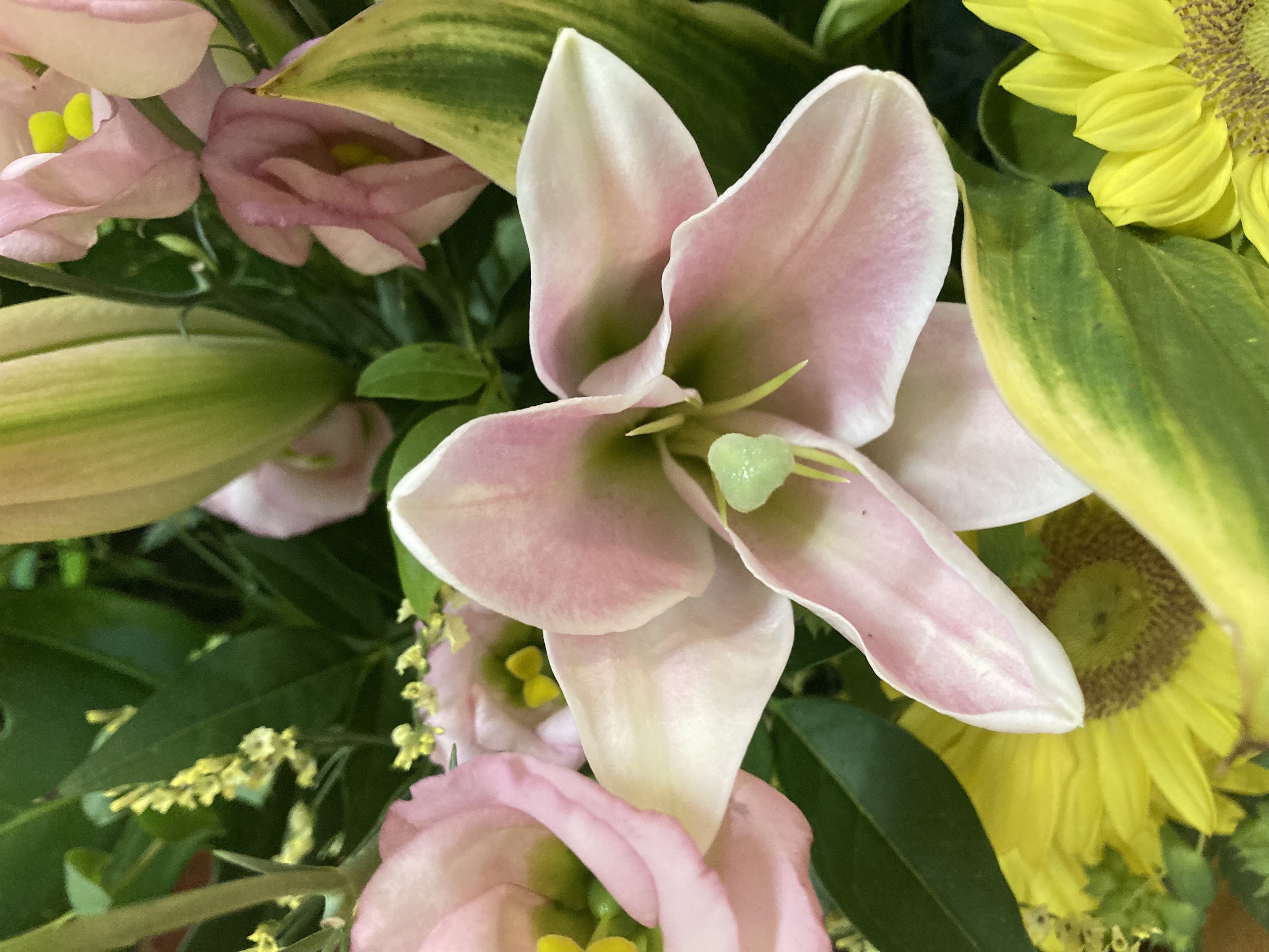 お花