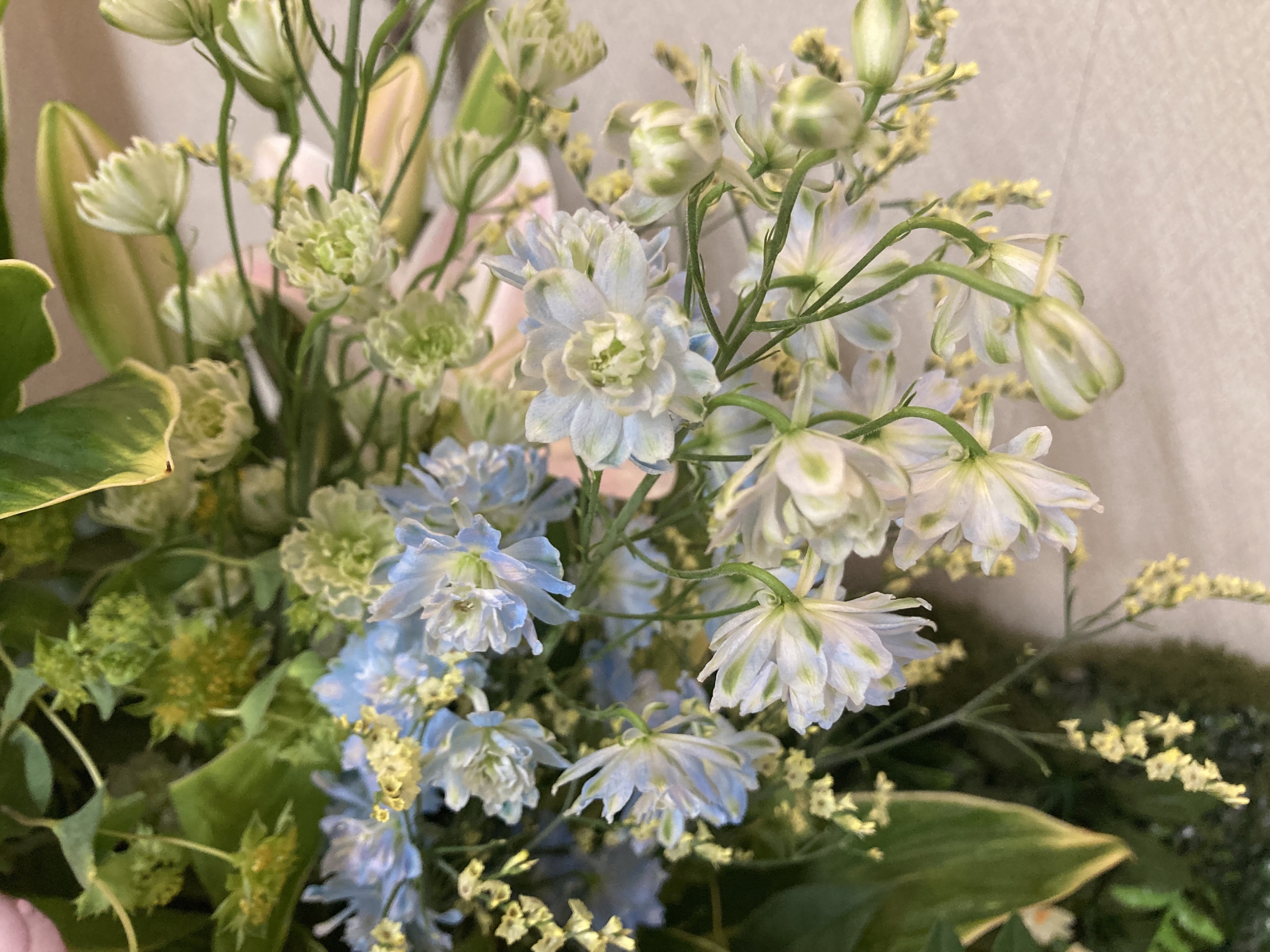 お花