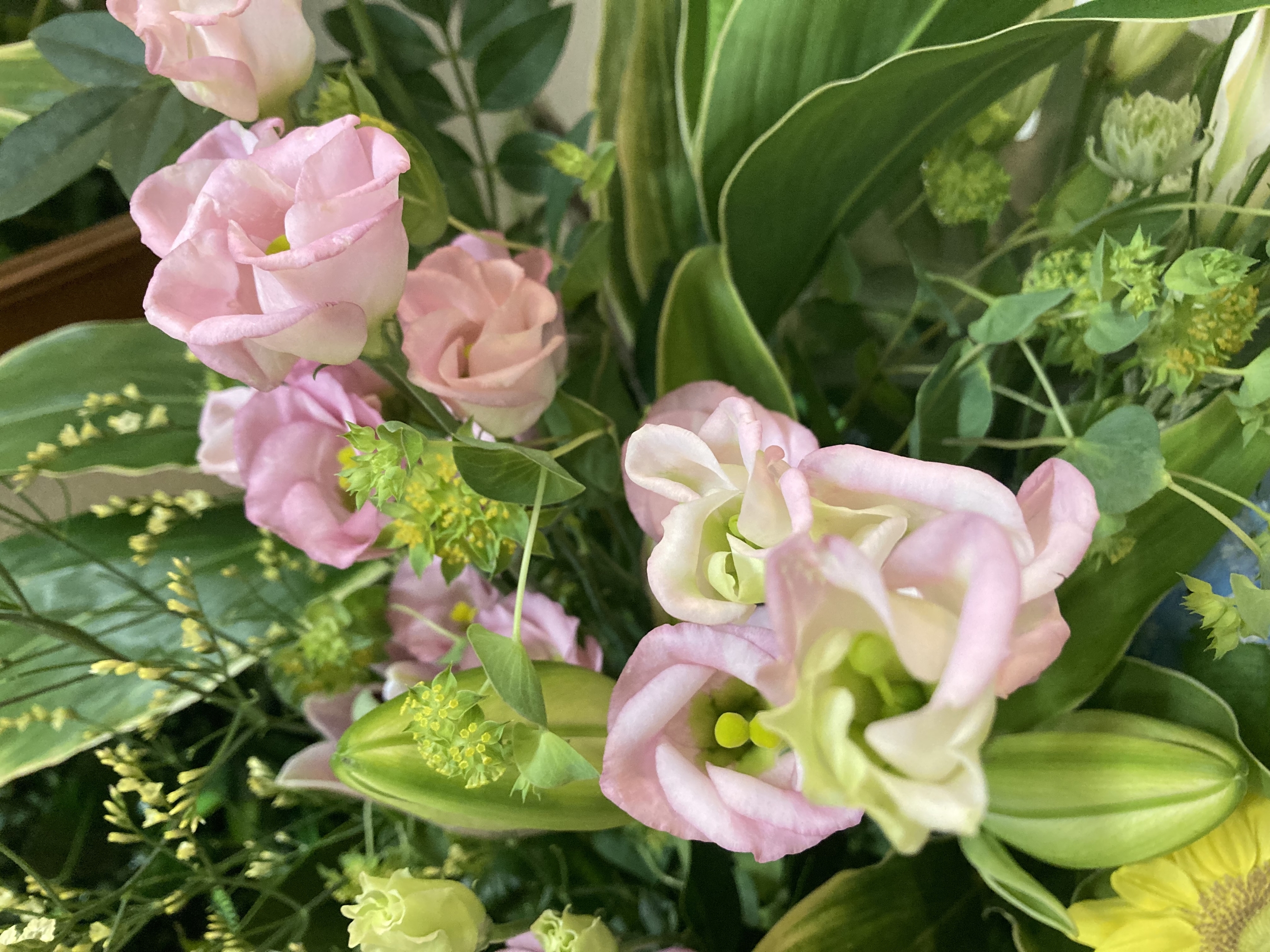 お花