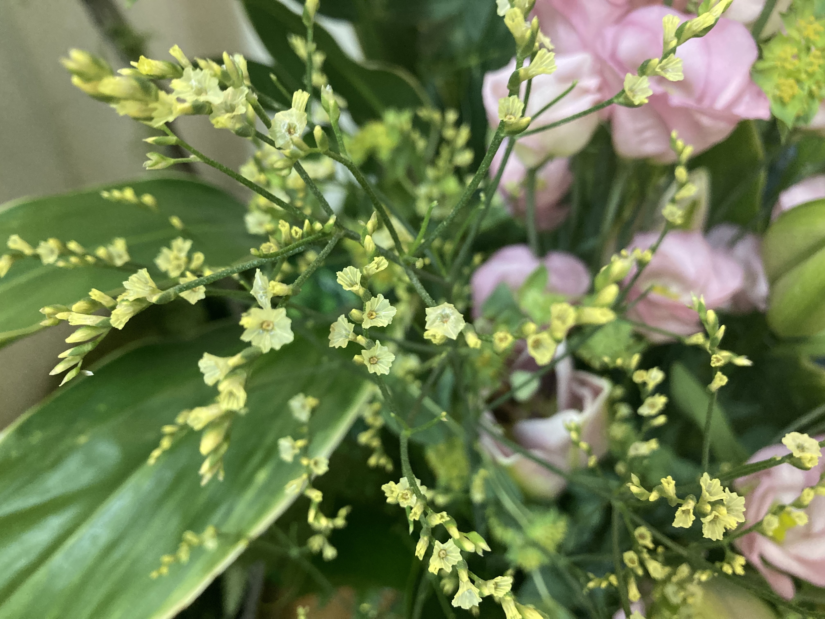 お花