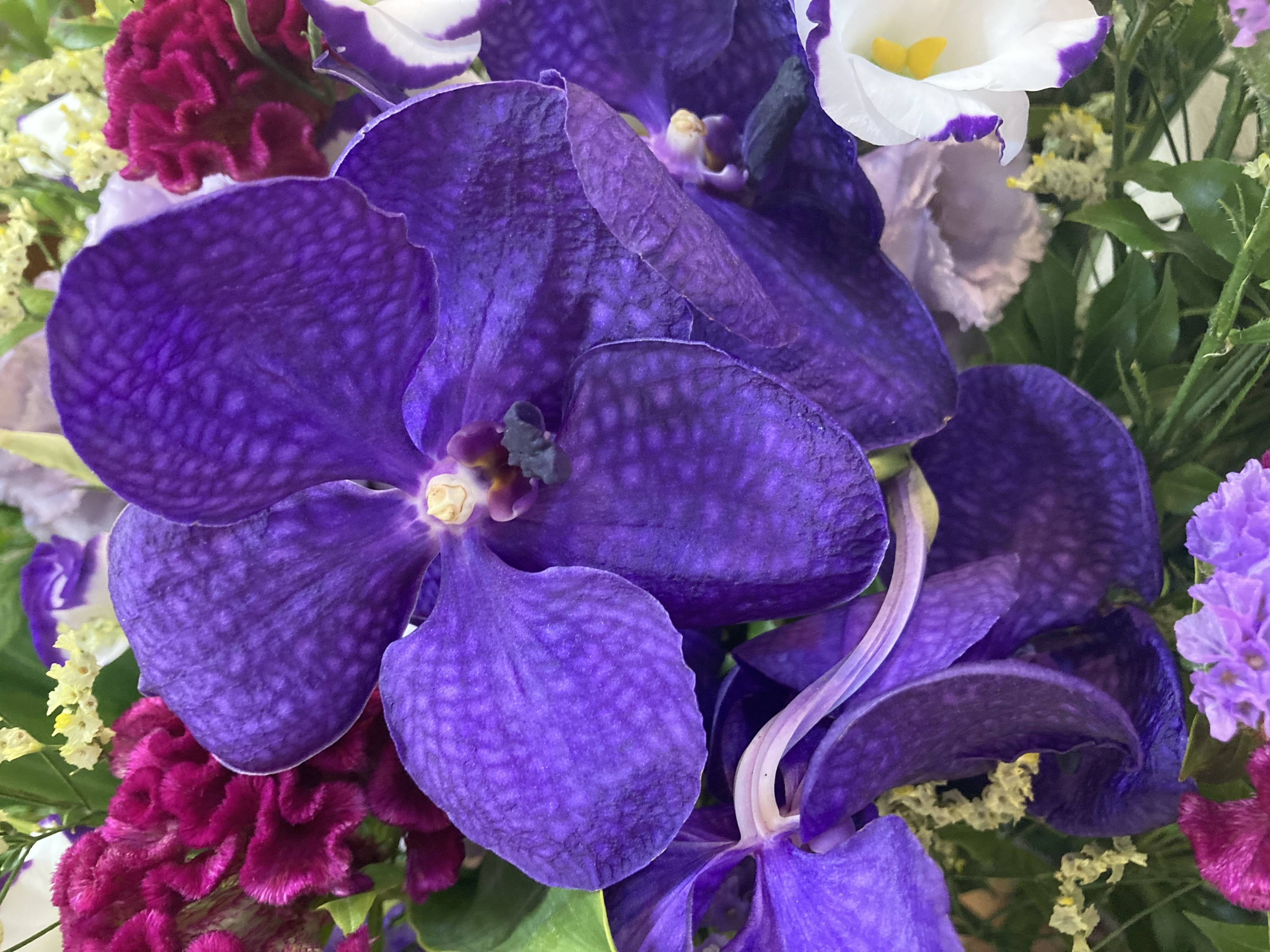 お花