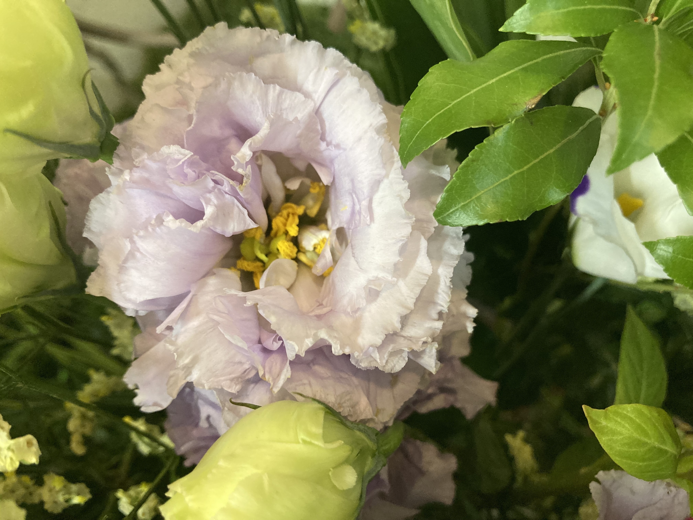 お花
