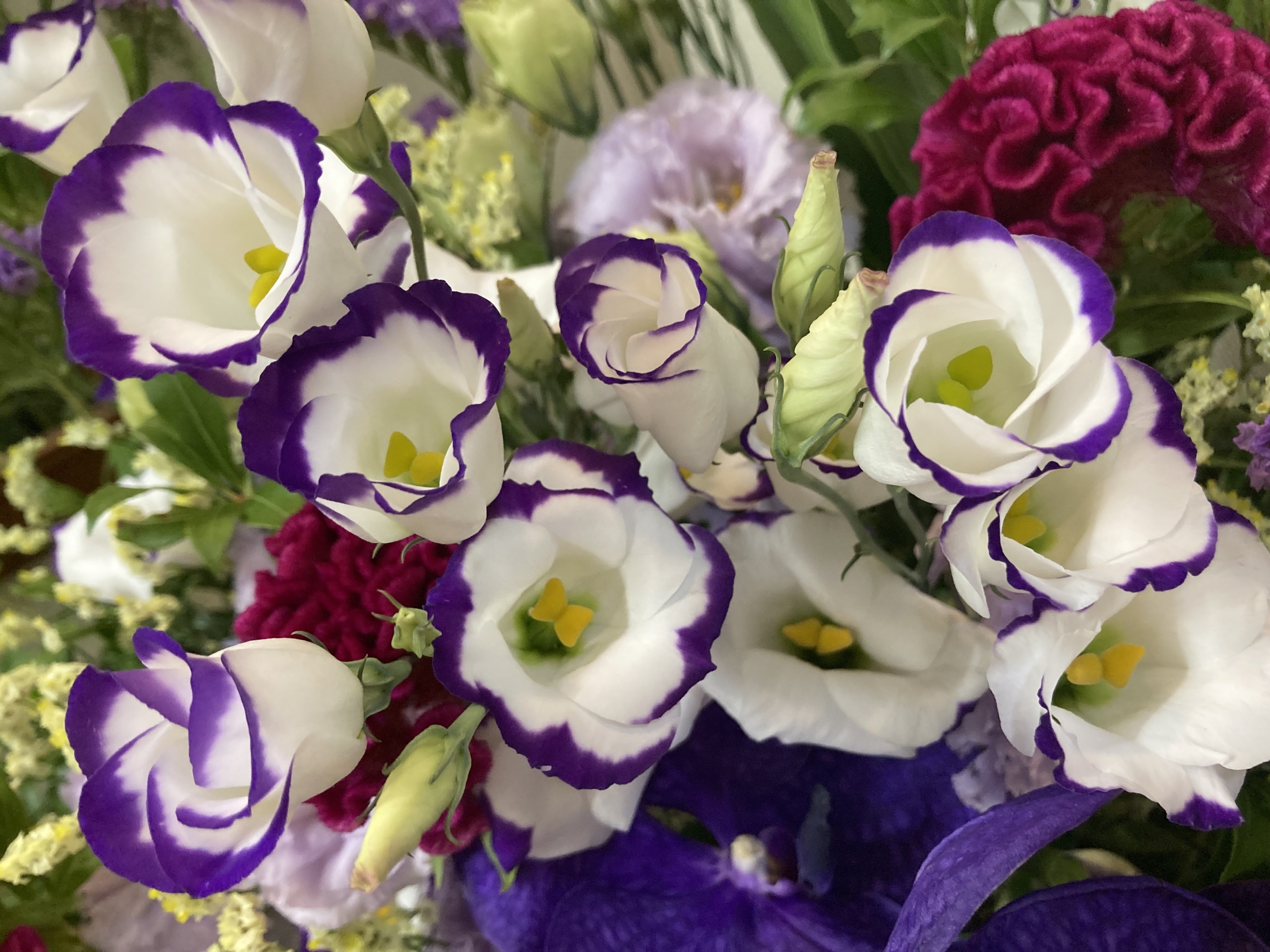 お花