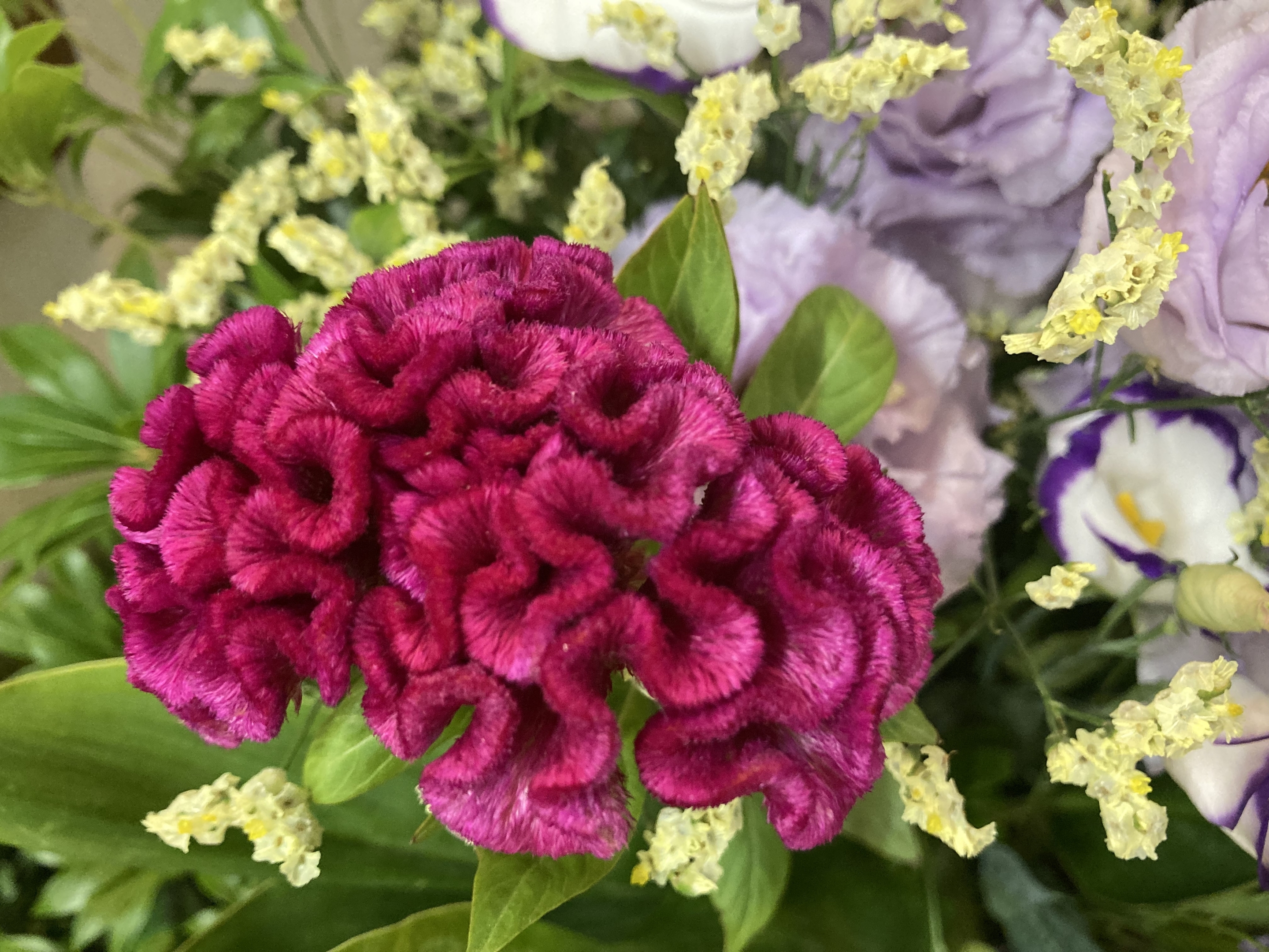 お花