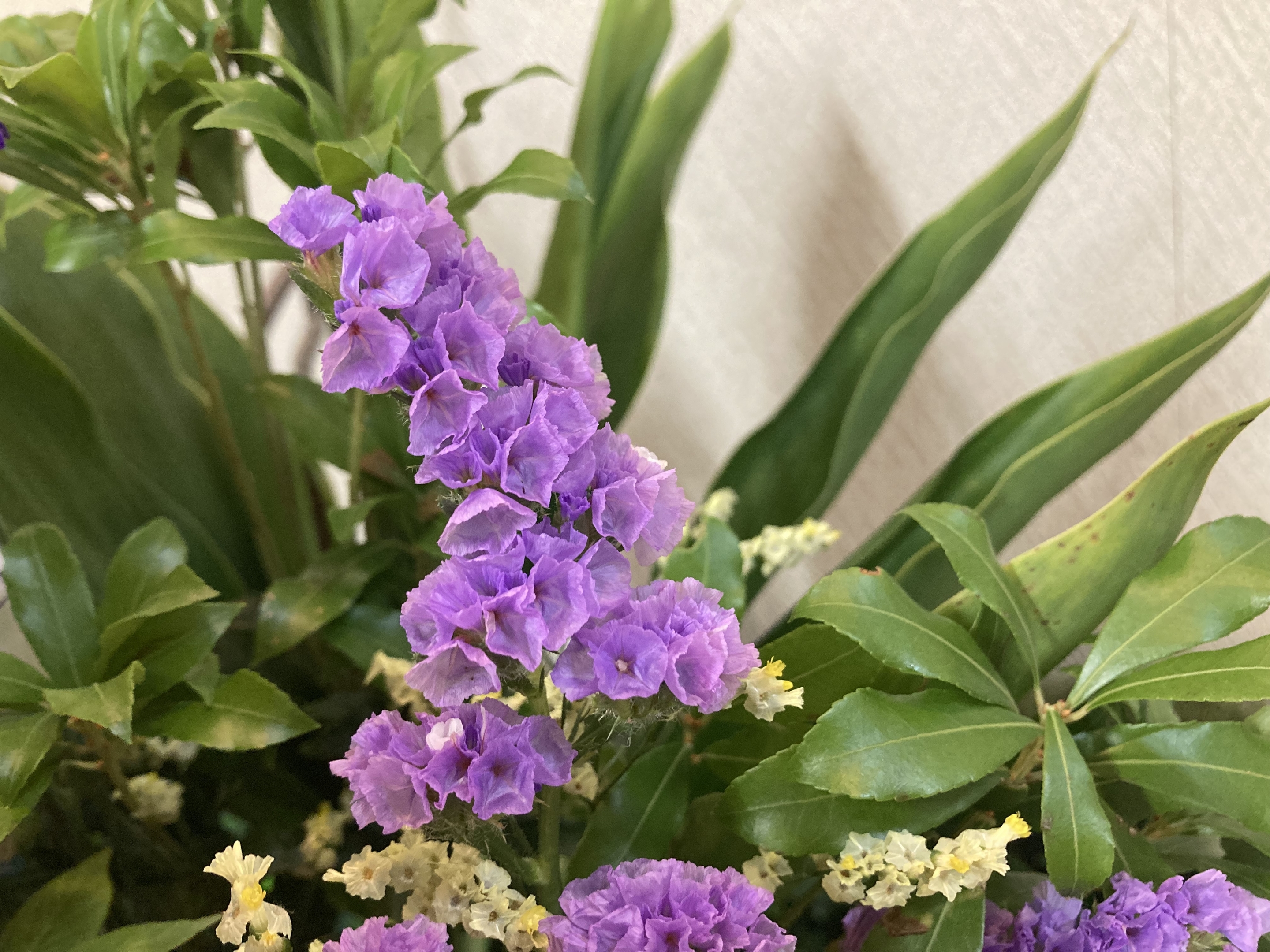 お花